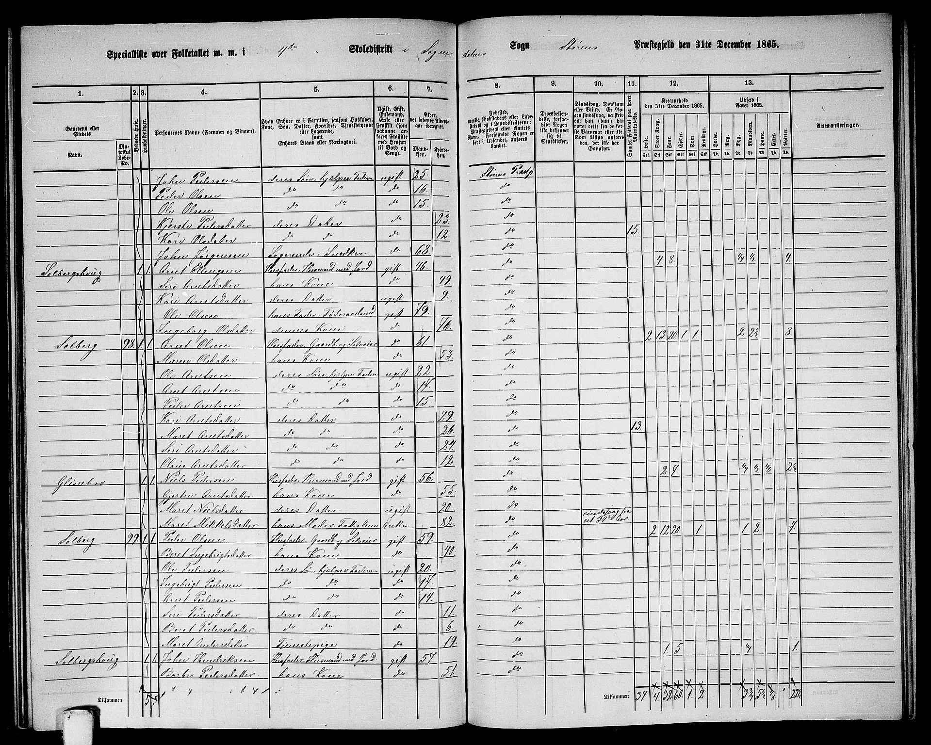 RA, 1865 census for Støren, 1865, p. 269