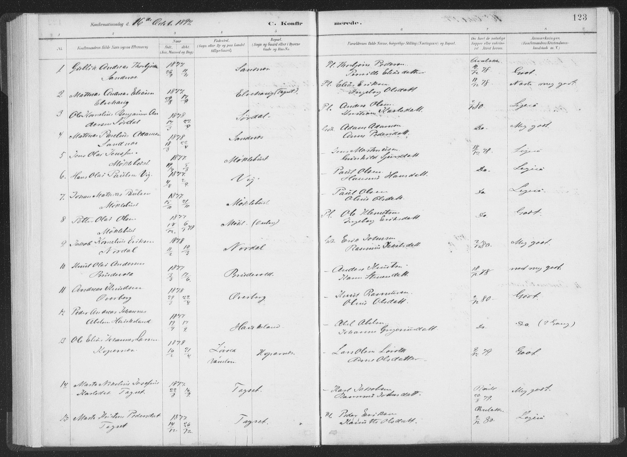 Ministerialprotokoller, klokkerbøker og fødselsregistre - Møre og Romsdal, AV/SAT-A-1454/502/L0025: Parish register (official) no. 502A03, 1885-1909, p. 123