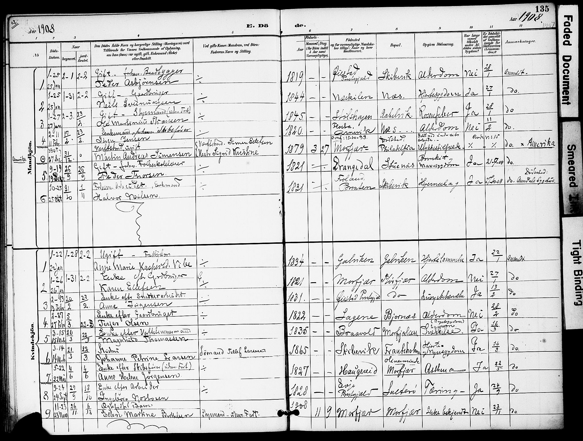 Austre Moland sokneprestkontor, SAK/1111-0001/F/Fa/Fab/L0002: Parish register (official) no. A 2, 1894-1919, p. 135
