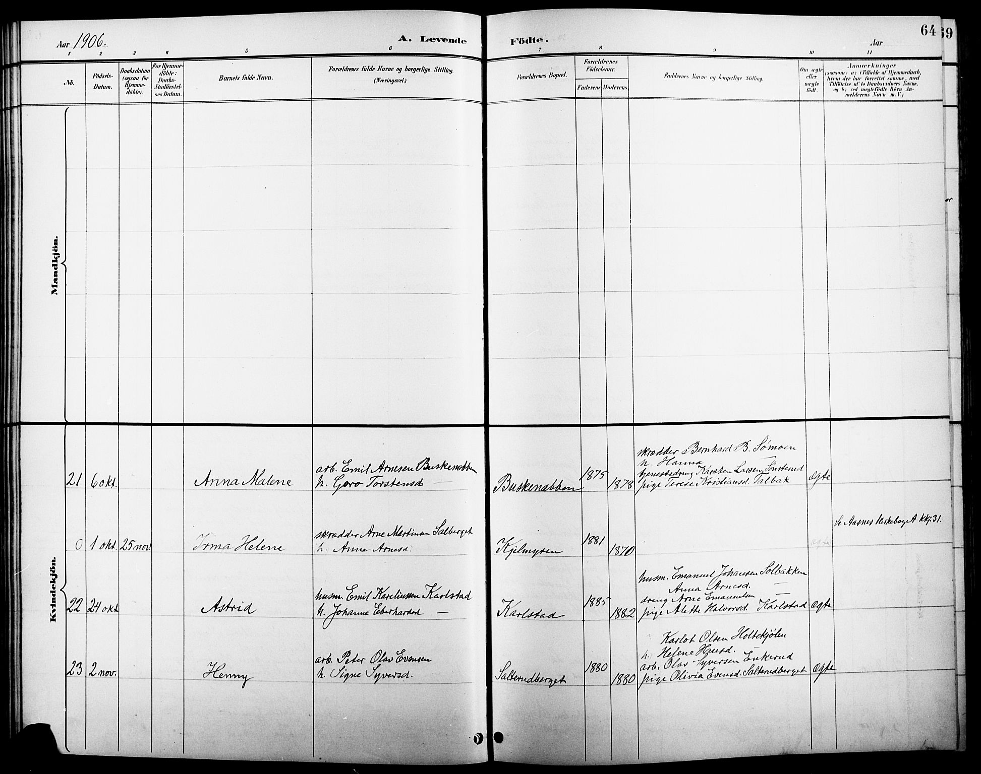 Åsnes prestekontor, AV/SAH-PREST-042/H/Ha/Hab/L0005: Parish register (copy) no. 5, 1895-1920, p. 64