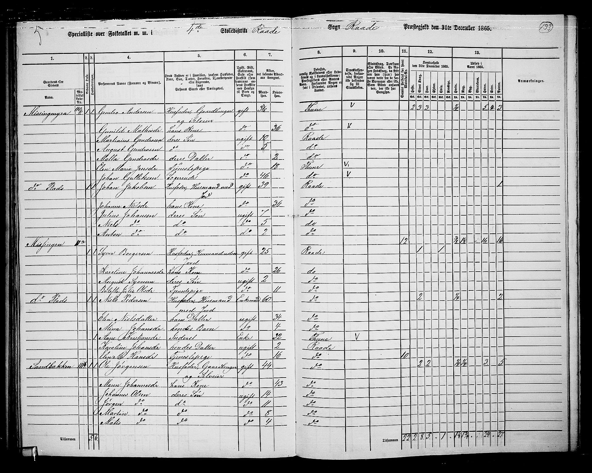 RA, 1865 census for Råde, 1865, p. 120