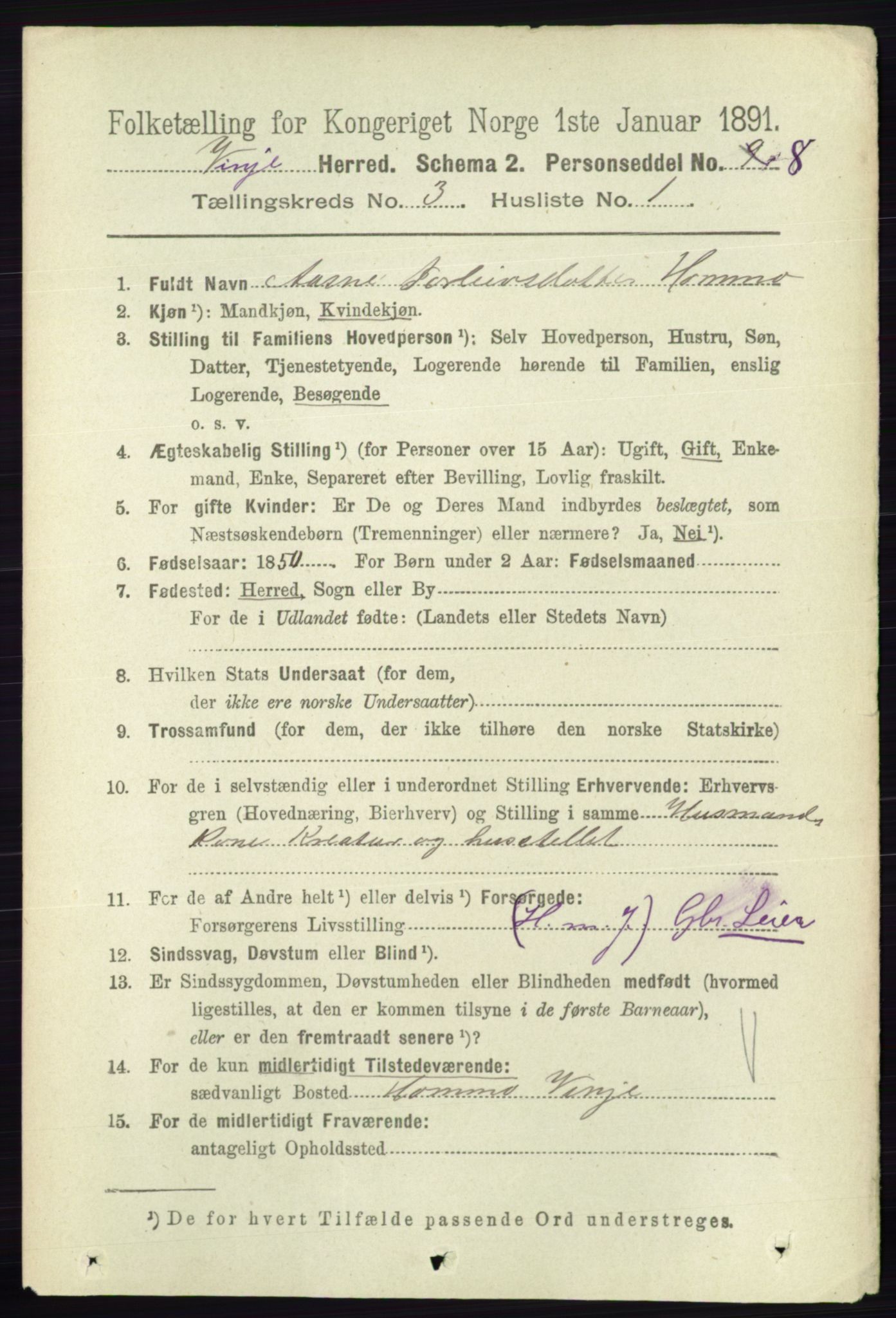 RA, 1891 census for 0834 Vinje, 1891, p. 651