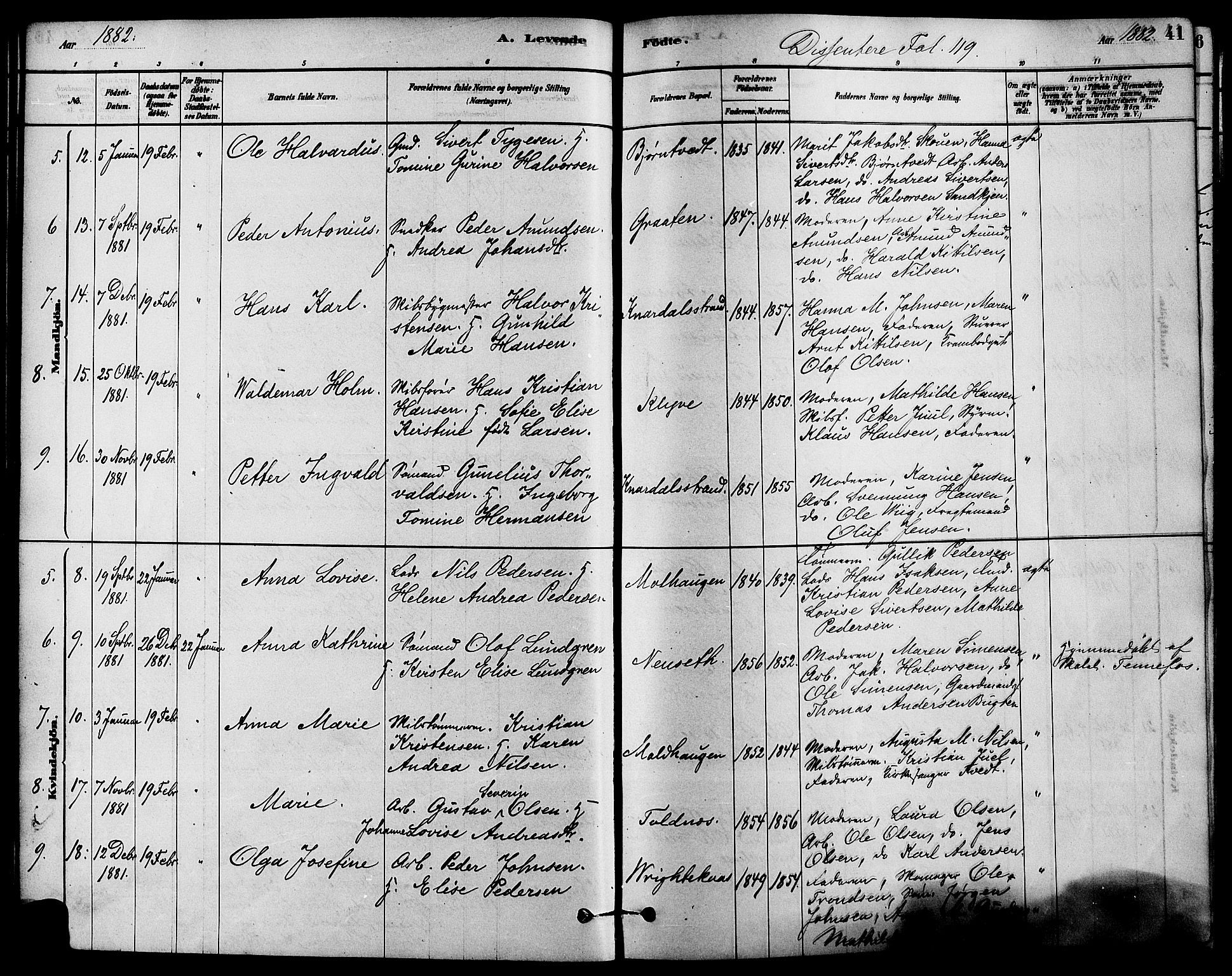 Solum kirkebøker, SAKO/A-306/F/Fa/L0009: Parish register (official) no. I 9, 1877-1887, p. 41