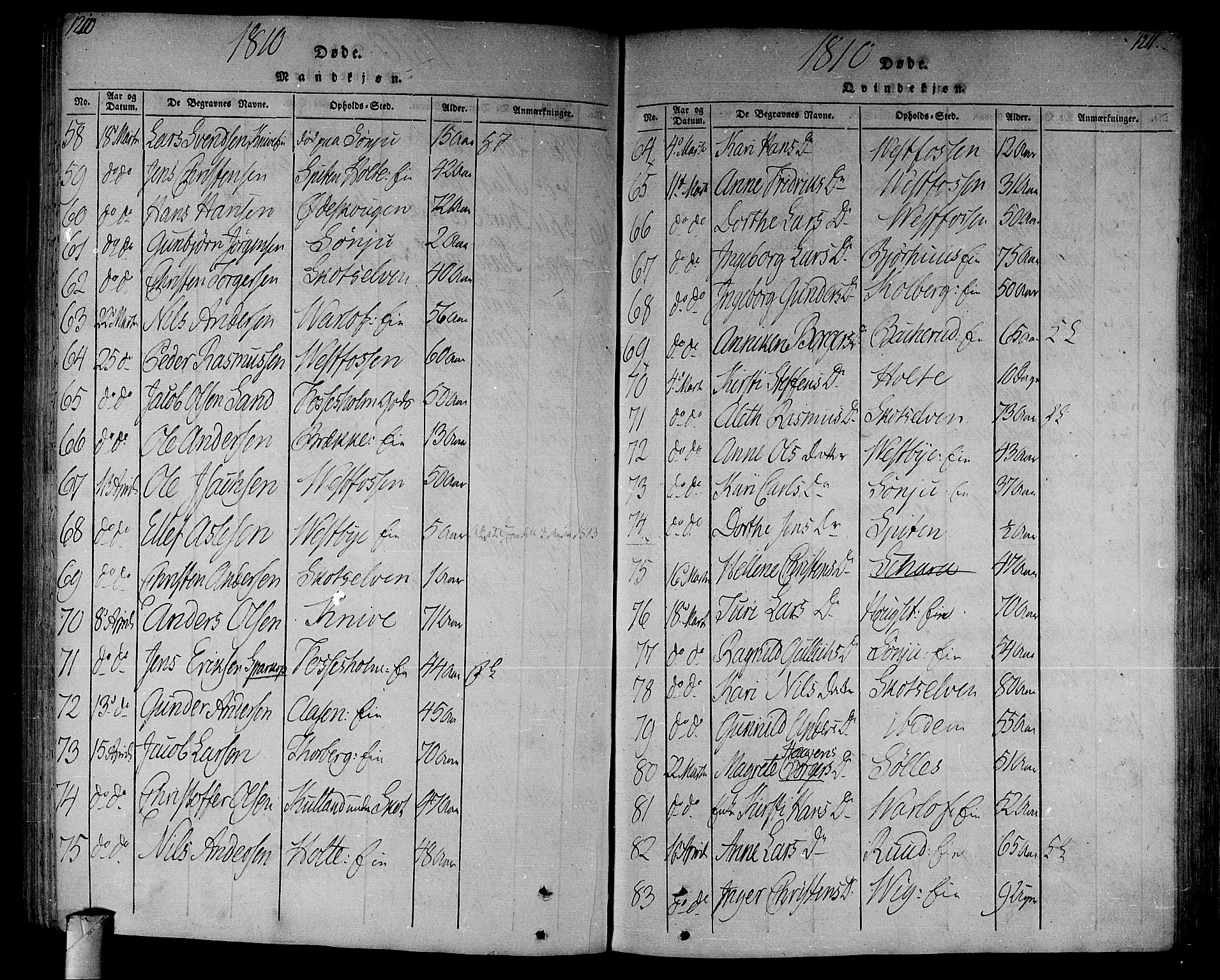 Eiker kirkebøker, SAKO/A-4/F/Fa/L0010: Parish register (official) no. I 10, 1806-1815, p. 1210-1211