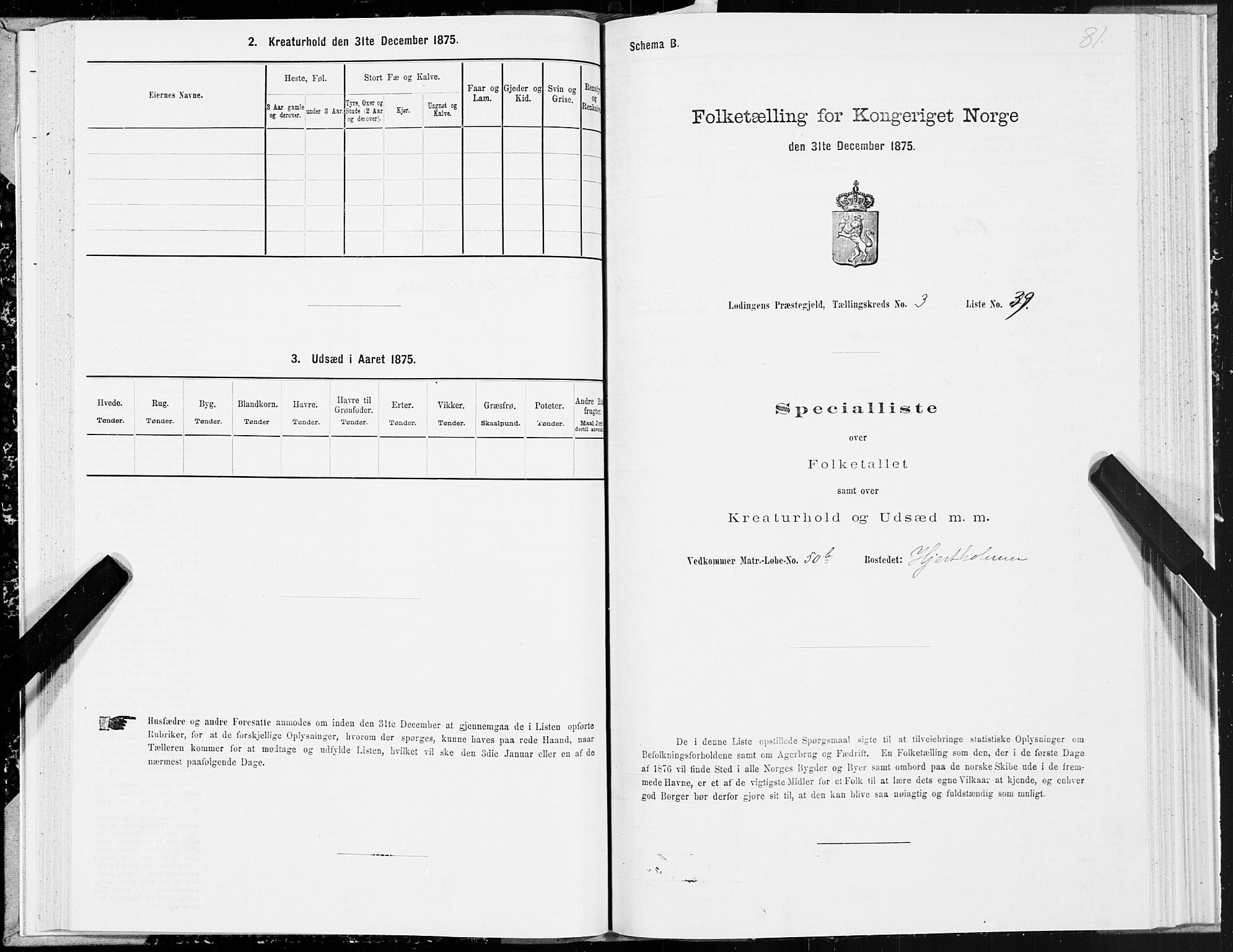 SAT, 1875 census for 1851P Lødingen, 1875, p. 2081