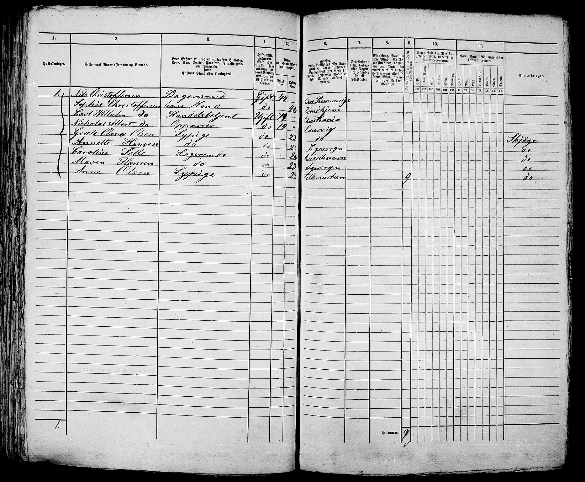 RA, 1865 census for Kristiania, 1865, p. 1307