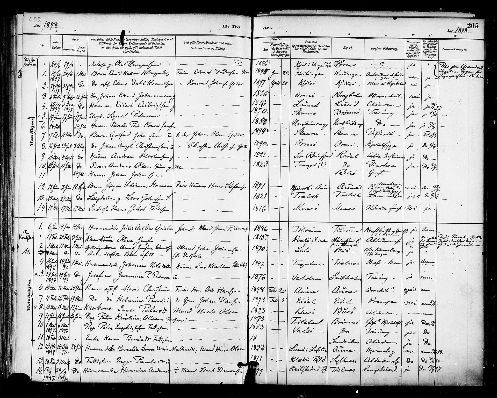 Ministerialprotokoller, klokkerbøker og fødselsregistre - Nordland, SAT/A-1459/813/L0200: Parish register (official) no. 813A10, 1886-1900, p. 205
