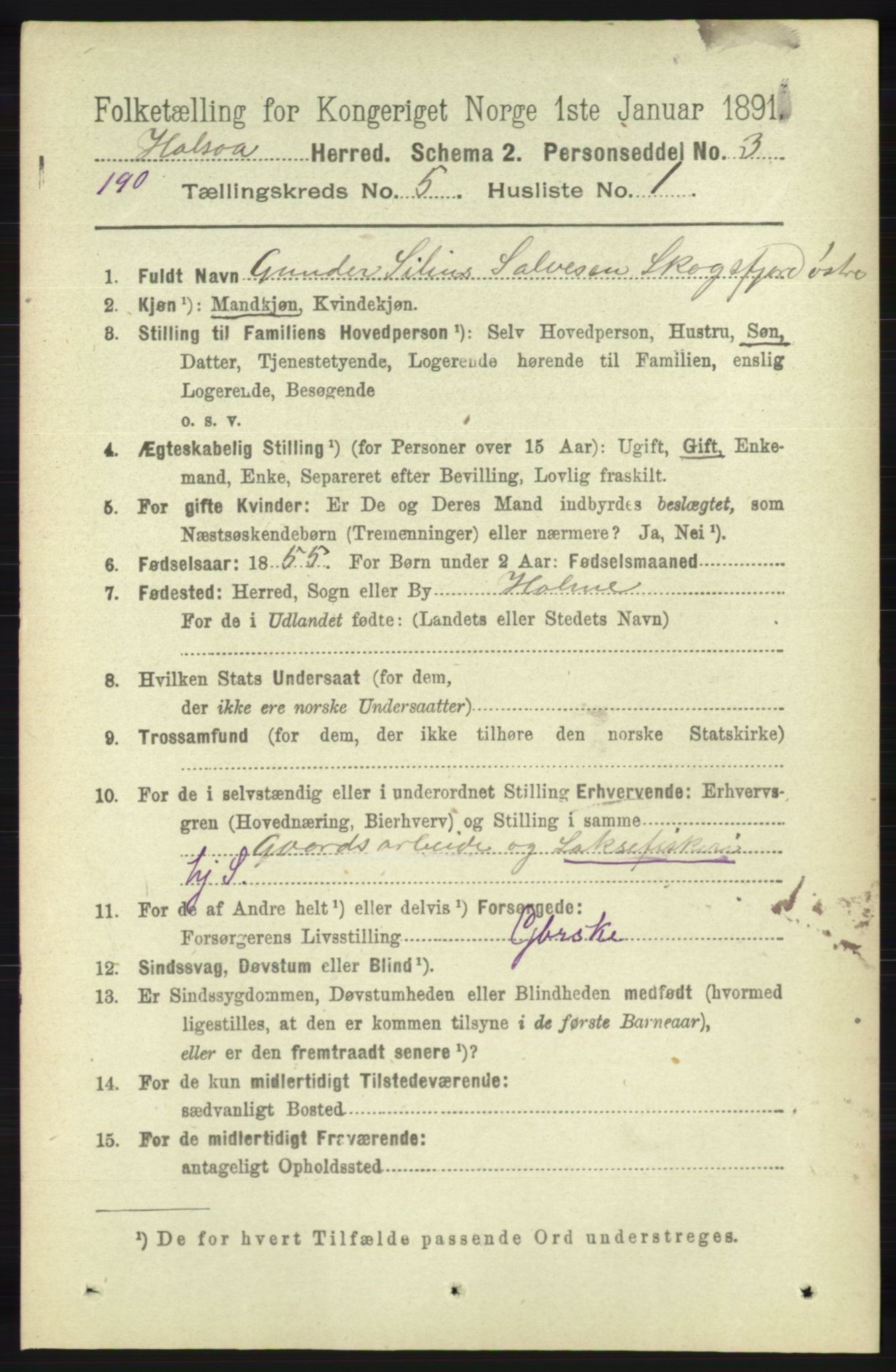 RA, 1891 census for 1019 Halse og Harkmark, 1891, p. 2037