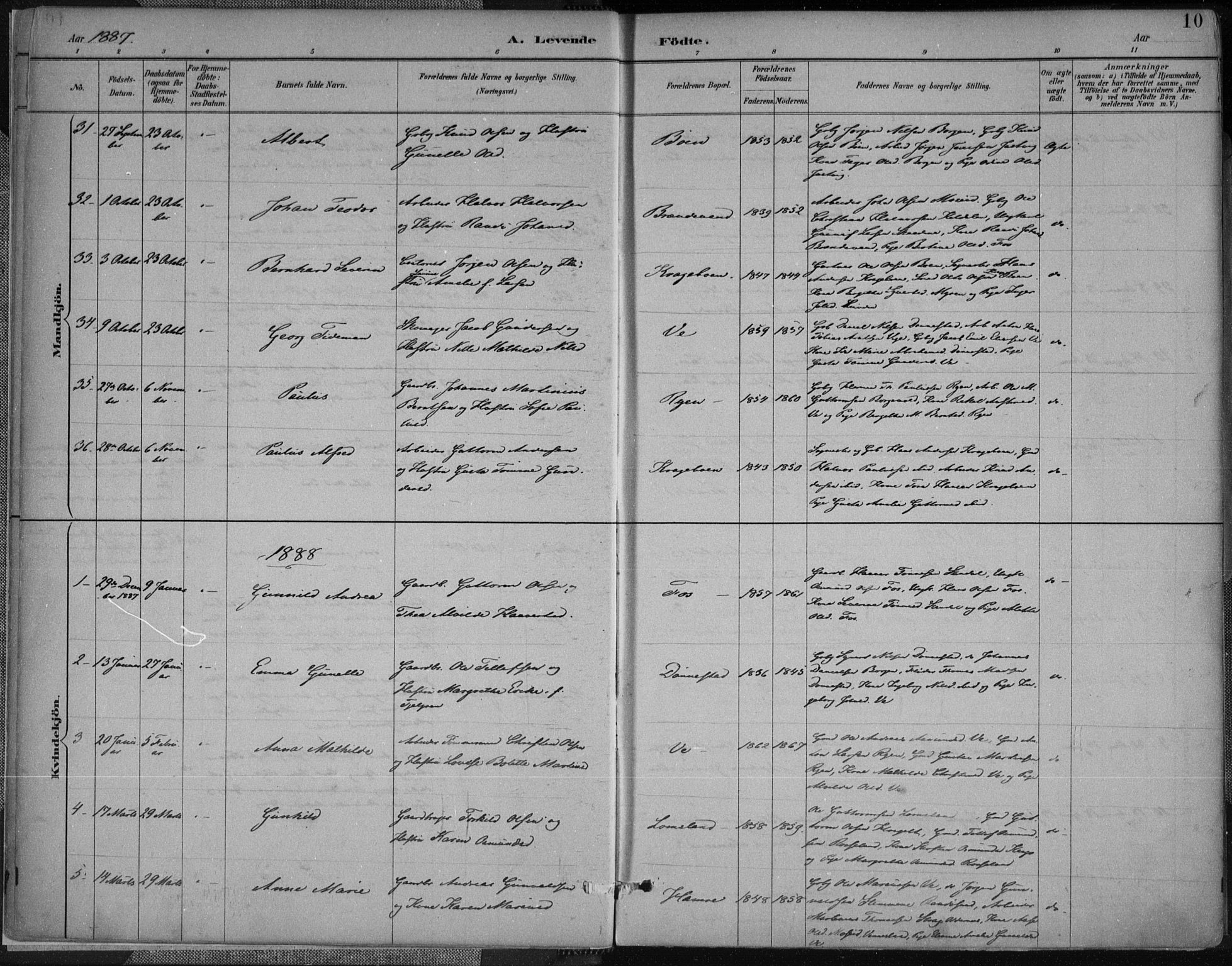 Tveit sokneprestkontor, SAK/1111-0043/F/Fa/L0007: Parish register (official) no. A 7, 1887-1908, p. 10