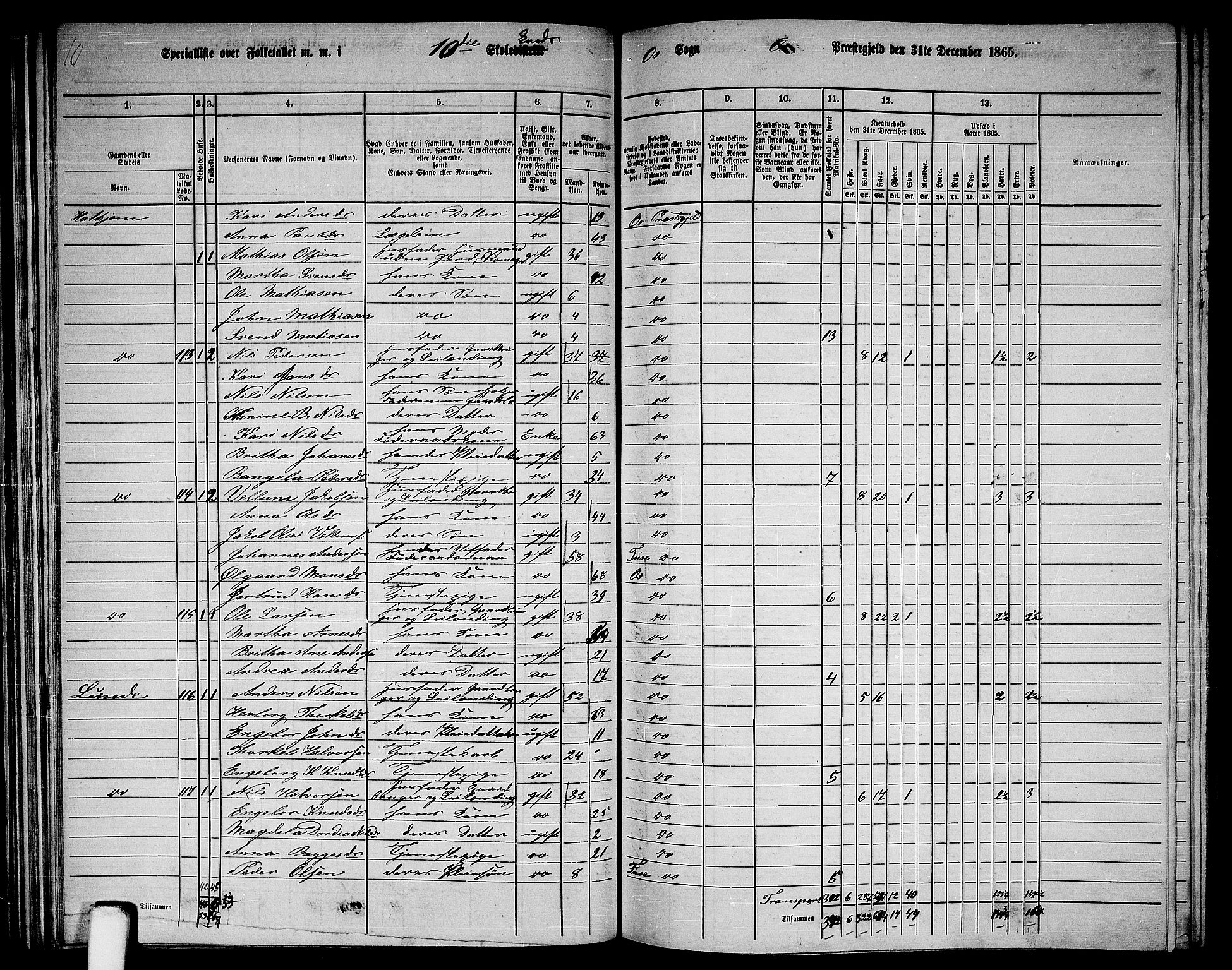 RA, 1865 census for Os, 1865, p. 56