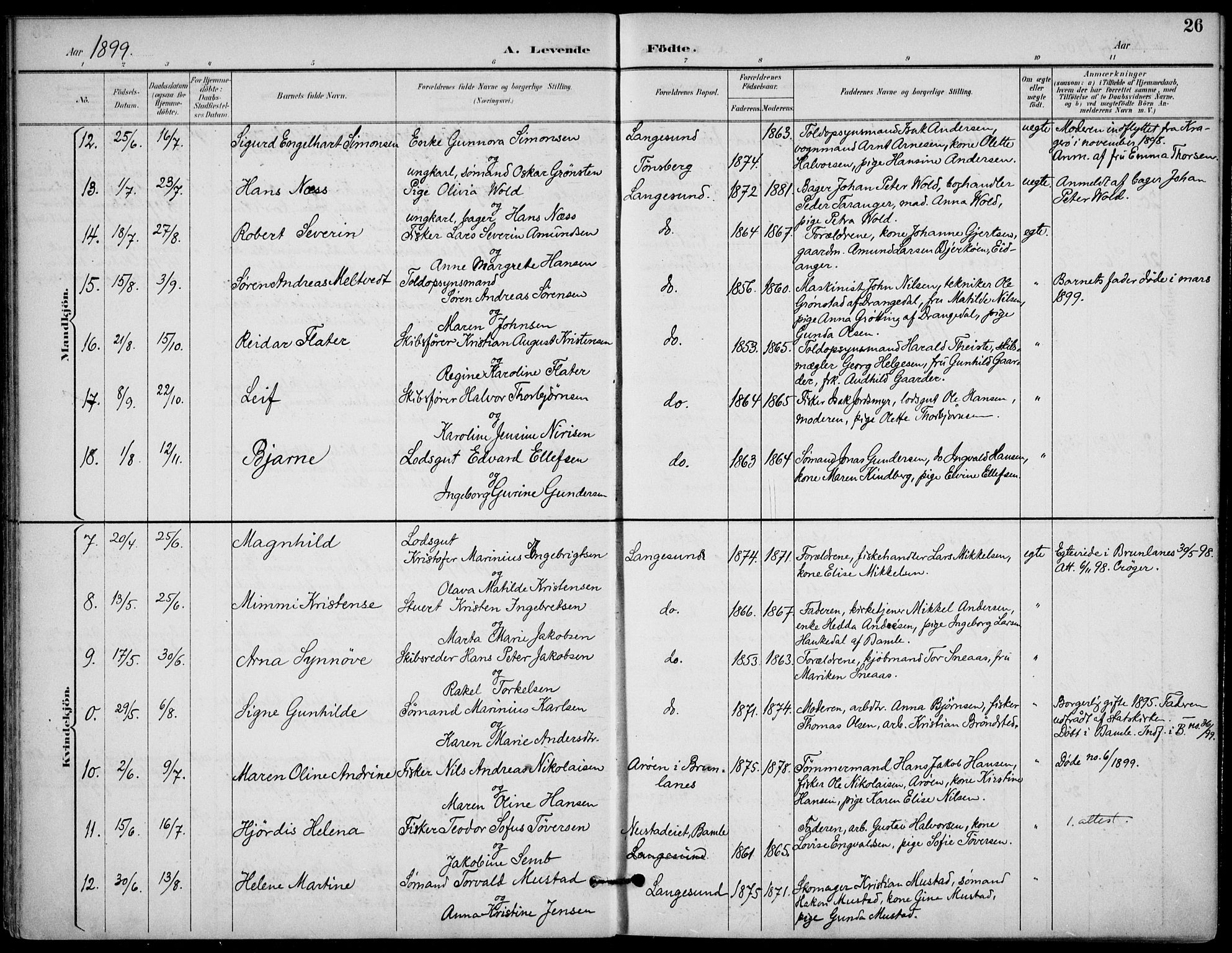 Langesund kirkebøker, SAKO/A-280/F/Fa/L0003: Parish register (official) no. 3, 1893-1907, p. 26