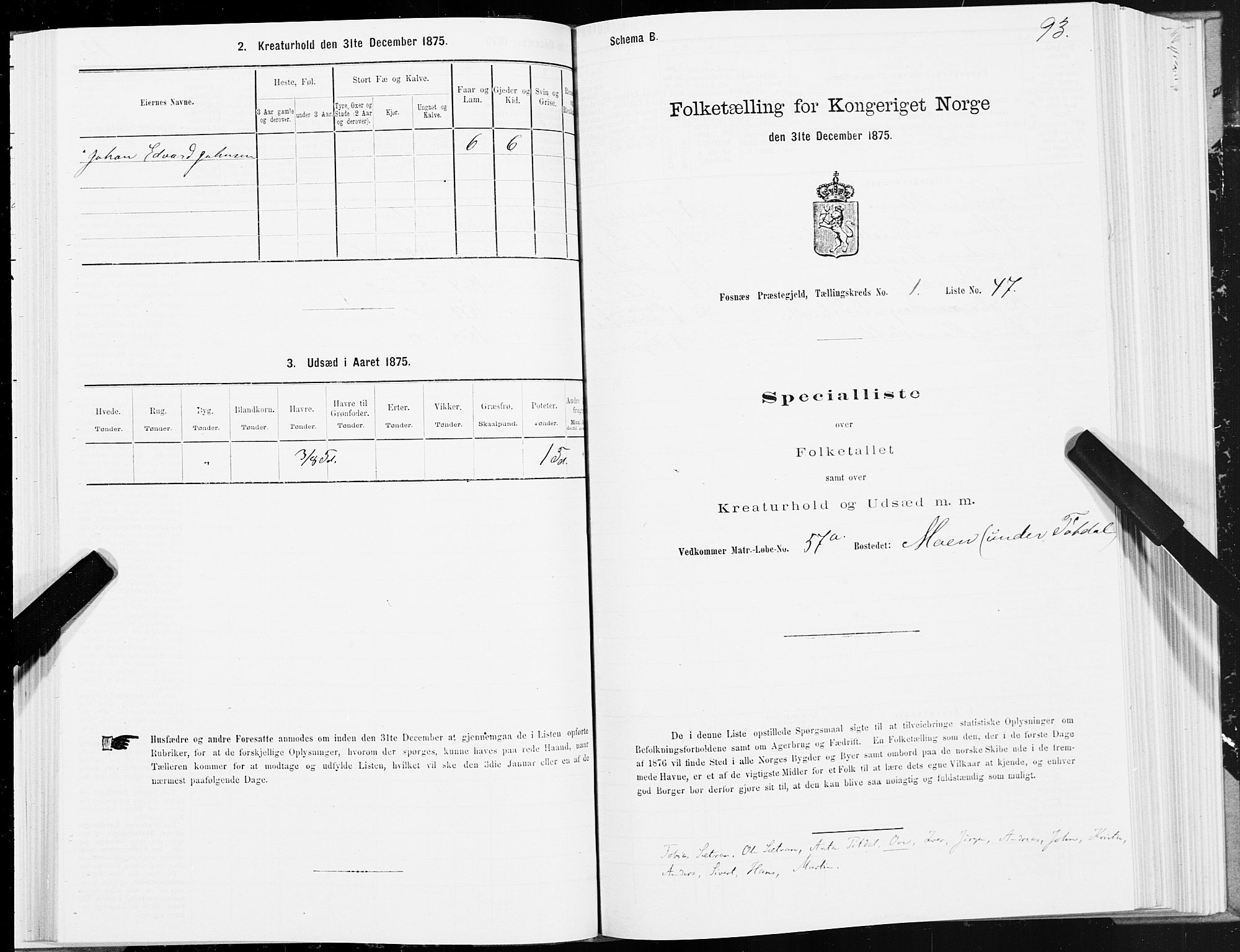 SAT, 1875 census for 1748P Fosnes, 1875, p. 3093