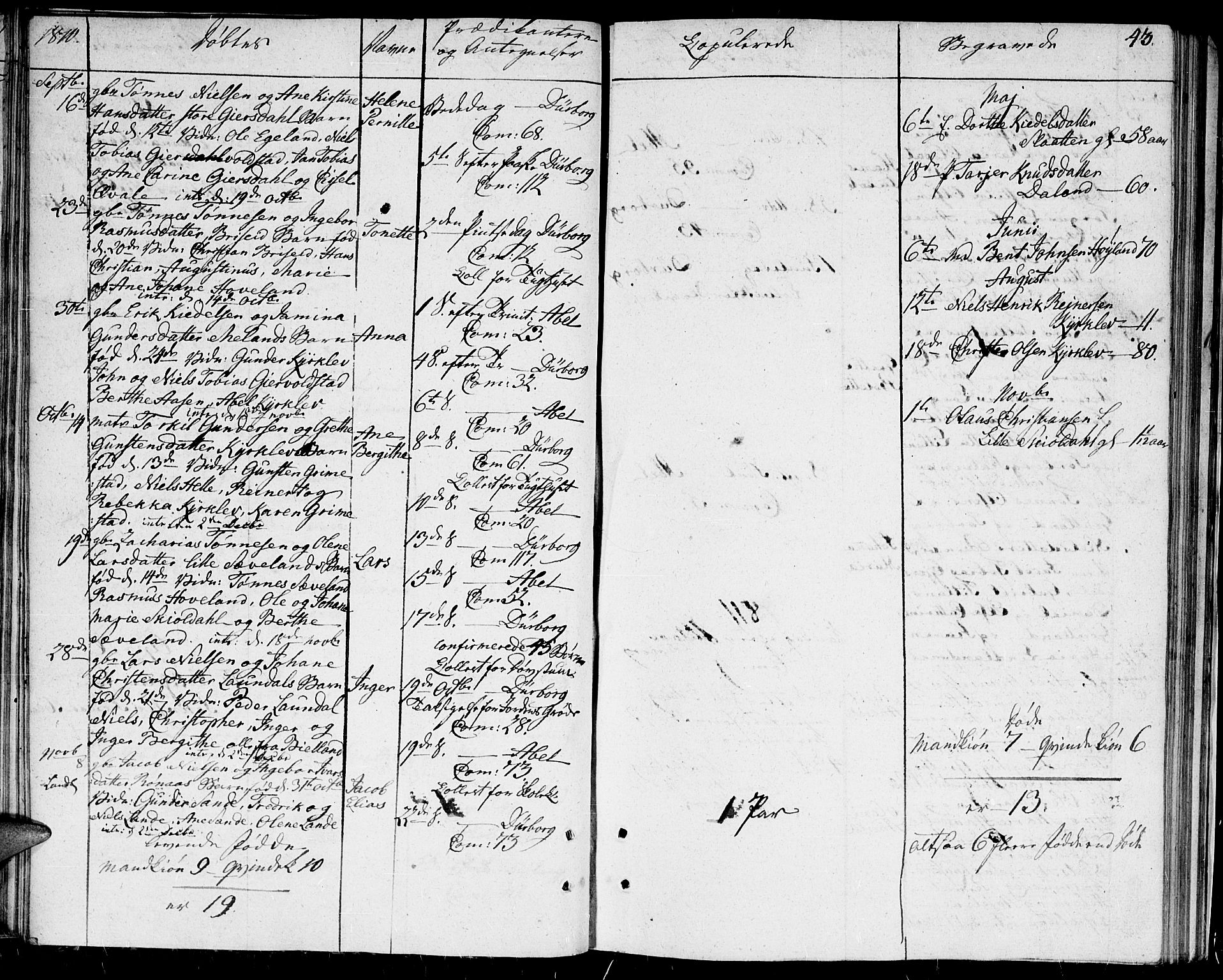 Herad sokneprestkontor, AV/SAK-1111-0018/F/Fa/Faa/L0002: Parish register (official) no. A 2, 1800-1815, p. 43