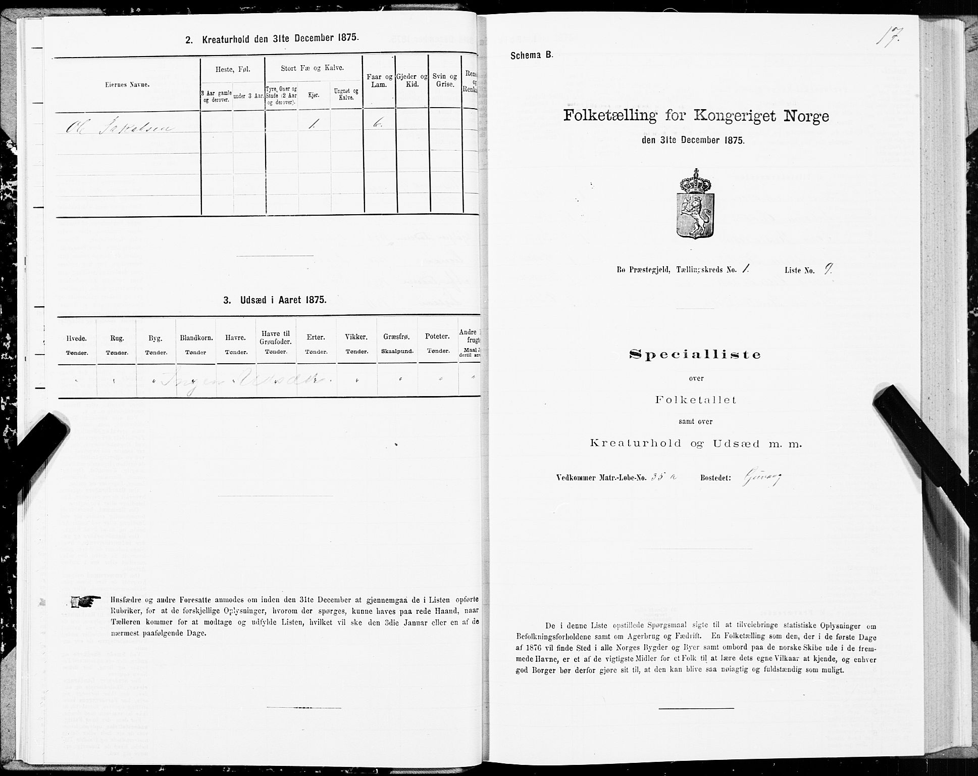SAT, 1875 census for 1867P Bø, 1875, p. 1017
