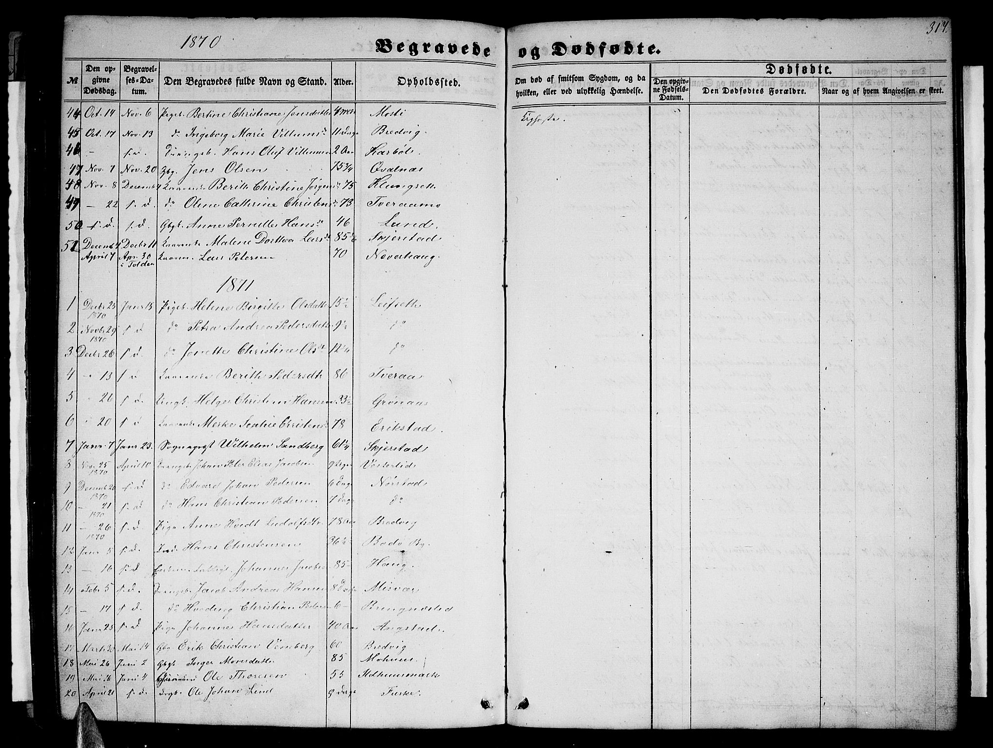 Ministerialprotokoller, klokkerbøker og fødselsregistre - Nordland, AV/SAT-A-1459/852/L0753: Parish register (copy) no. 852C04, 1856-1877, p. 317