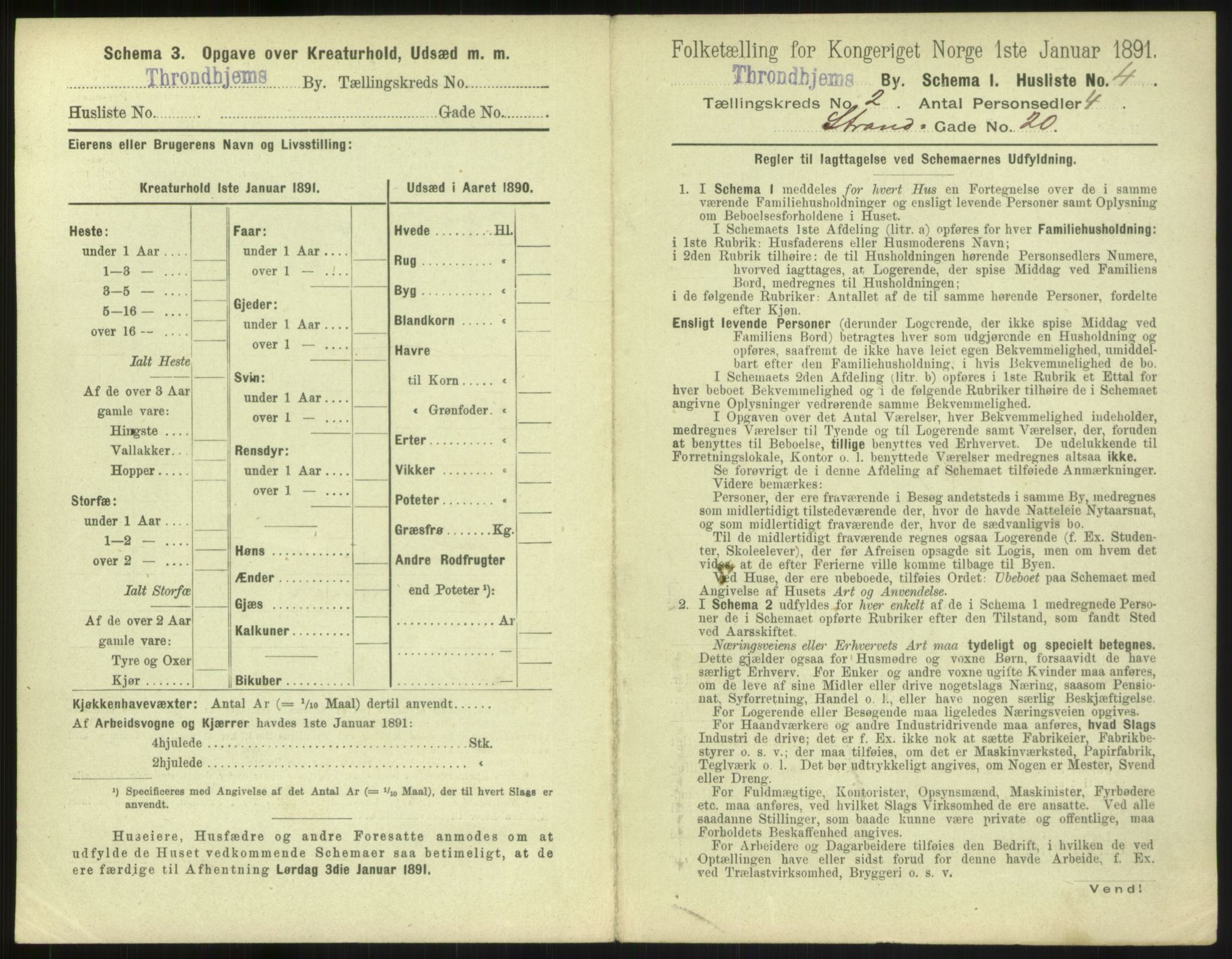 RA, 1891 census for 1601 Trondheim, 1891, p. 242