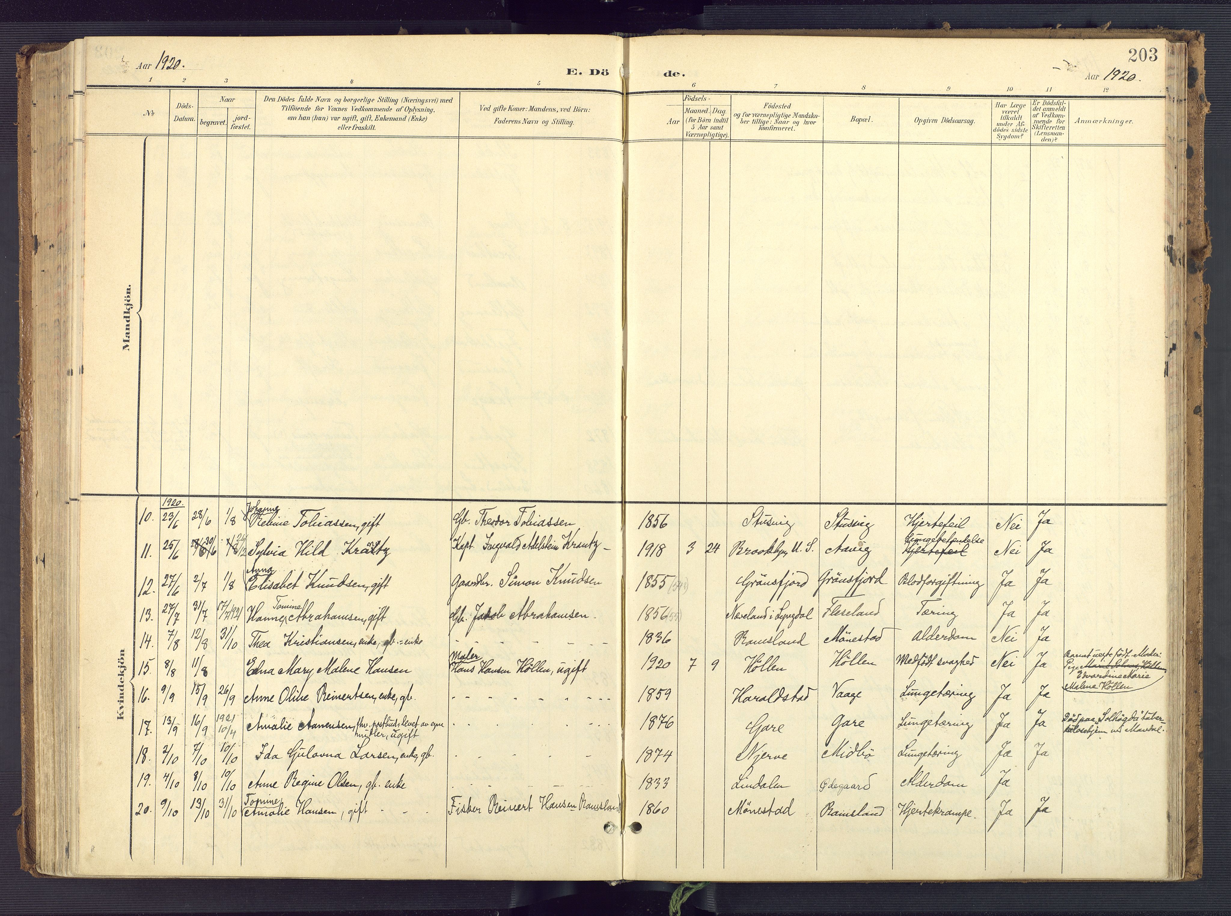 Sør-Audnedal sokneprestkontor, SAK/1111-0039/F/Fa/Faa/L0005: Parish register (official) no. A 5, 1900-1923, p. 203