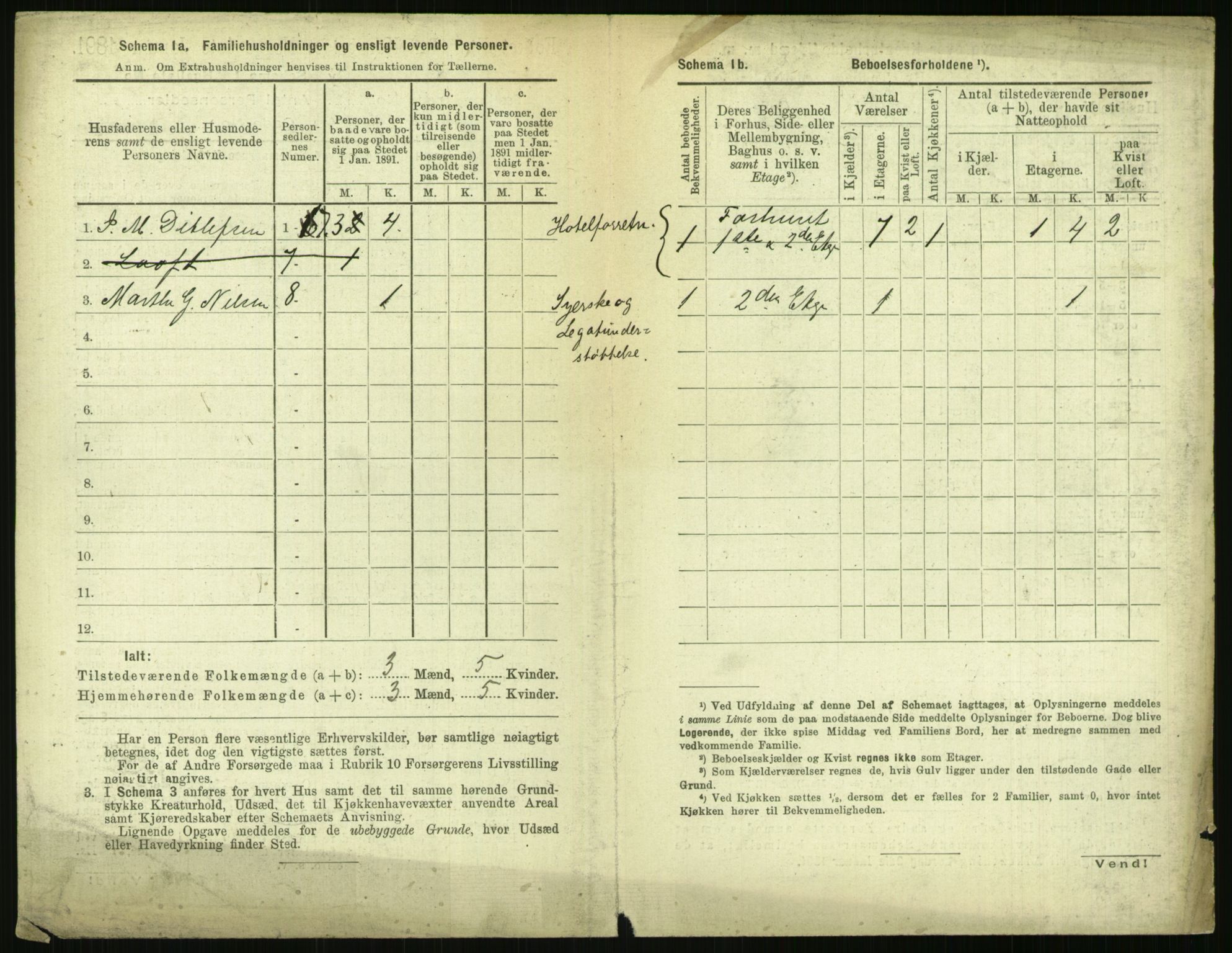 RA, 1891 census for 0806 Skien, 1891, p. 1339