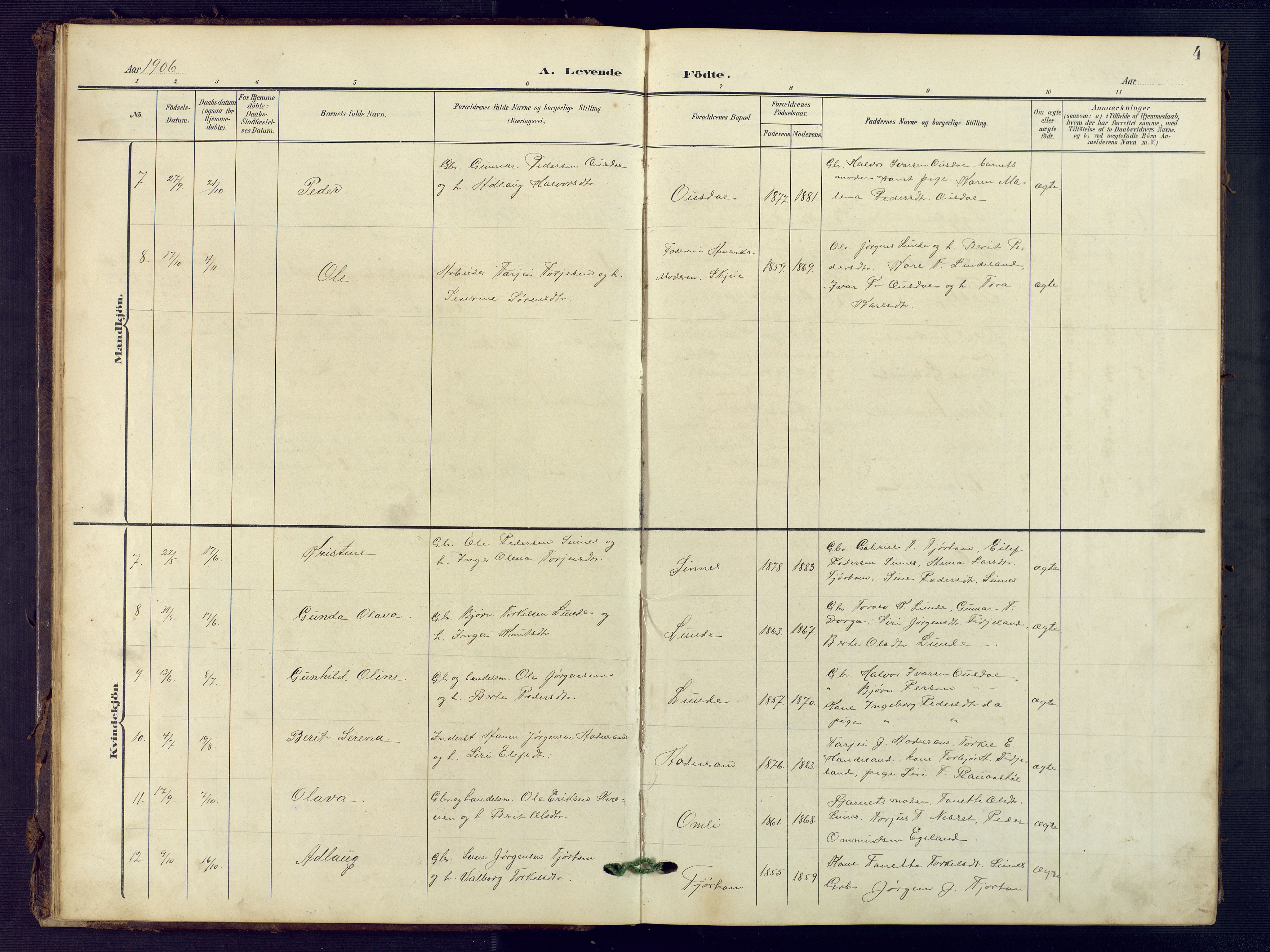 Sirdal sokneprestkontor, SAK/1111-0036/F/Fb/Fba/L0002: Parish register (copy) no. B 2, 1905-1958, p. 4