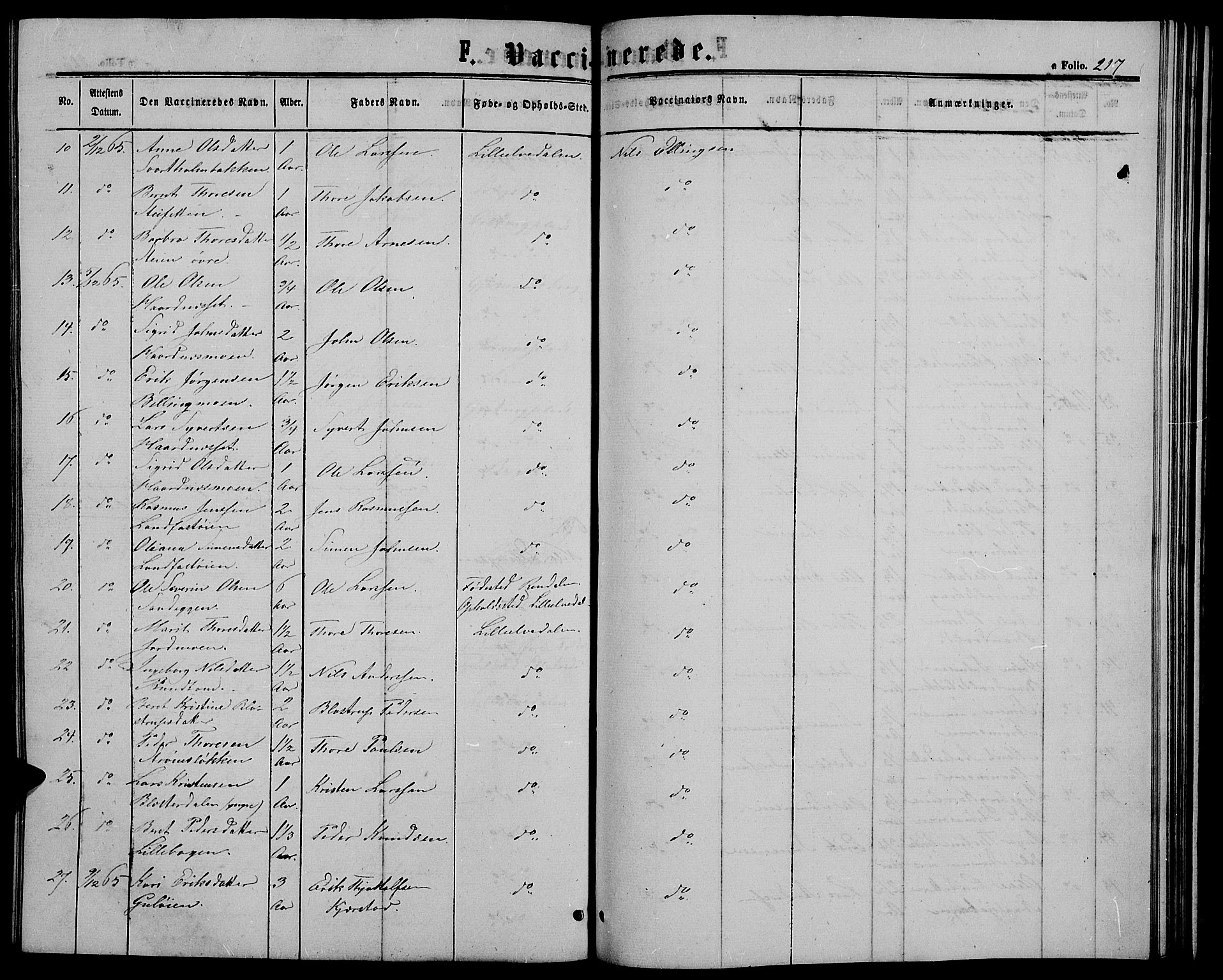 Alvdal prestekontor, SAH/PREST-060/H/Ha/Hab/L0002: Parish register (copy) no. 2, 1863-1878, p. 217