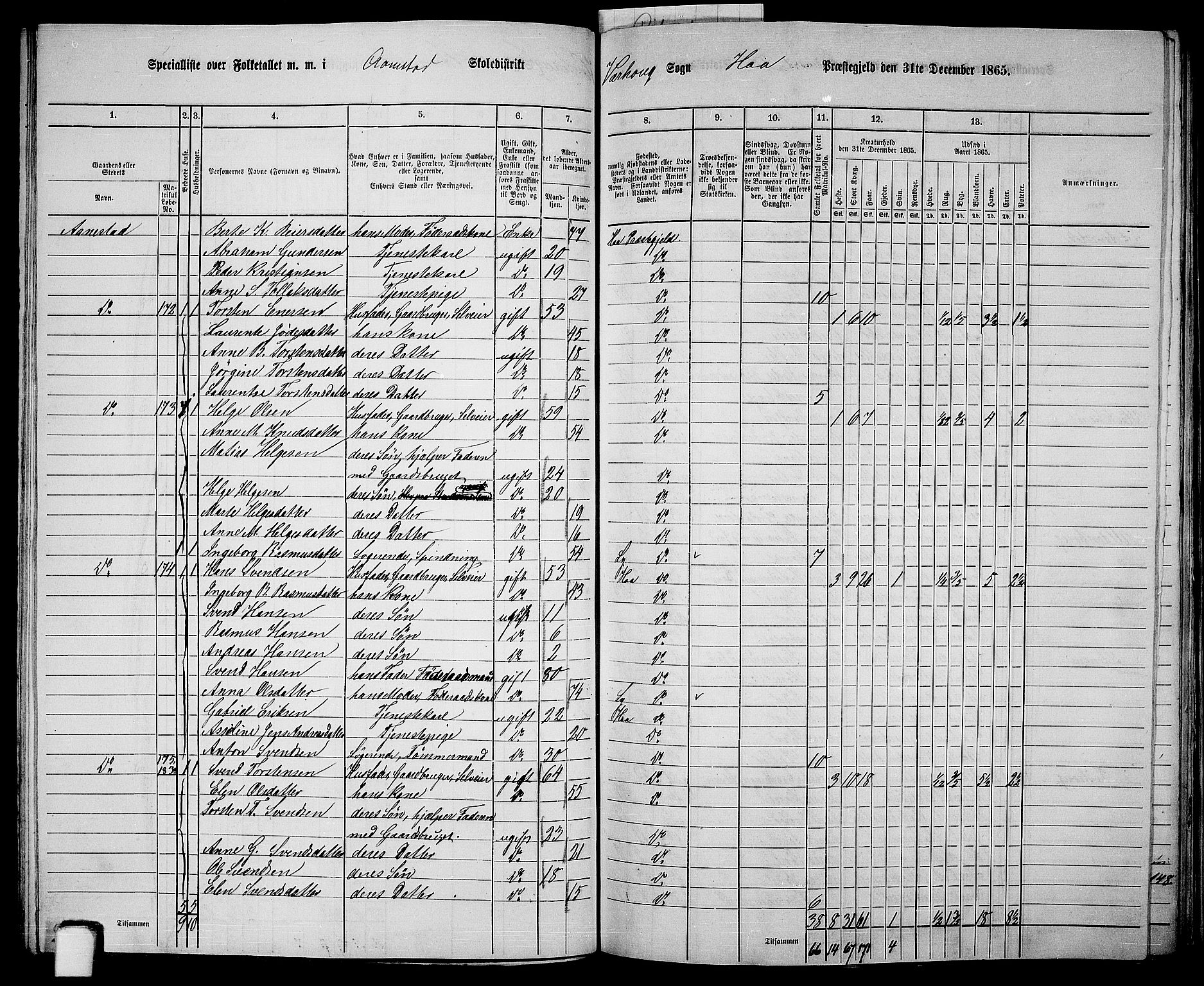 RA, 1865 census for Hå, 1865, p. 62