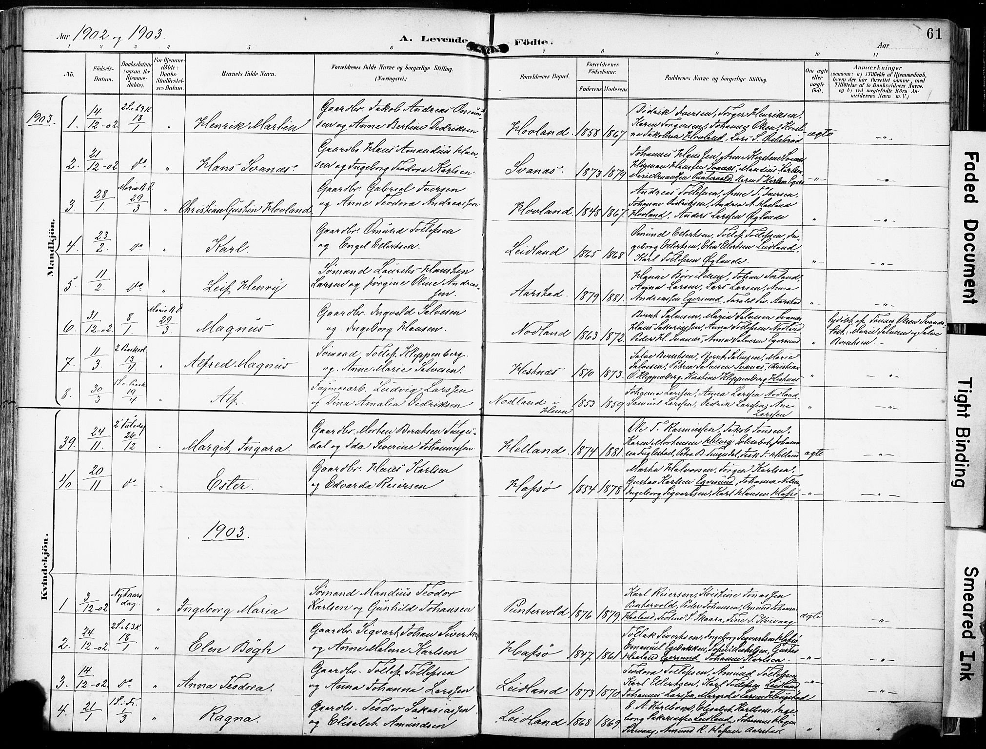 Eigersund sokneprestkontor, AV/SAST-A-101807/S08/L0018: Parish register (official) no. A 17, 1892-1905, p. 61