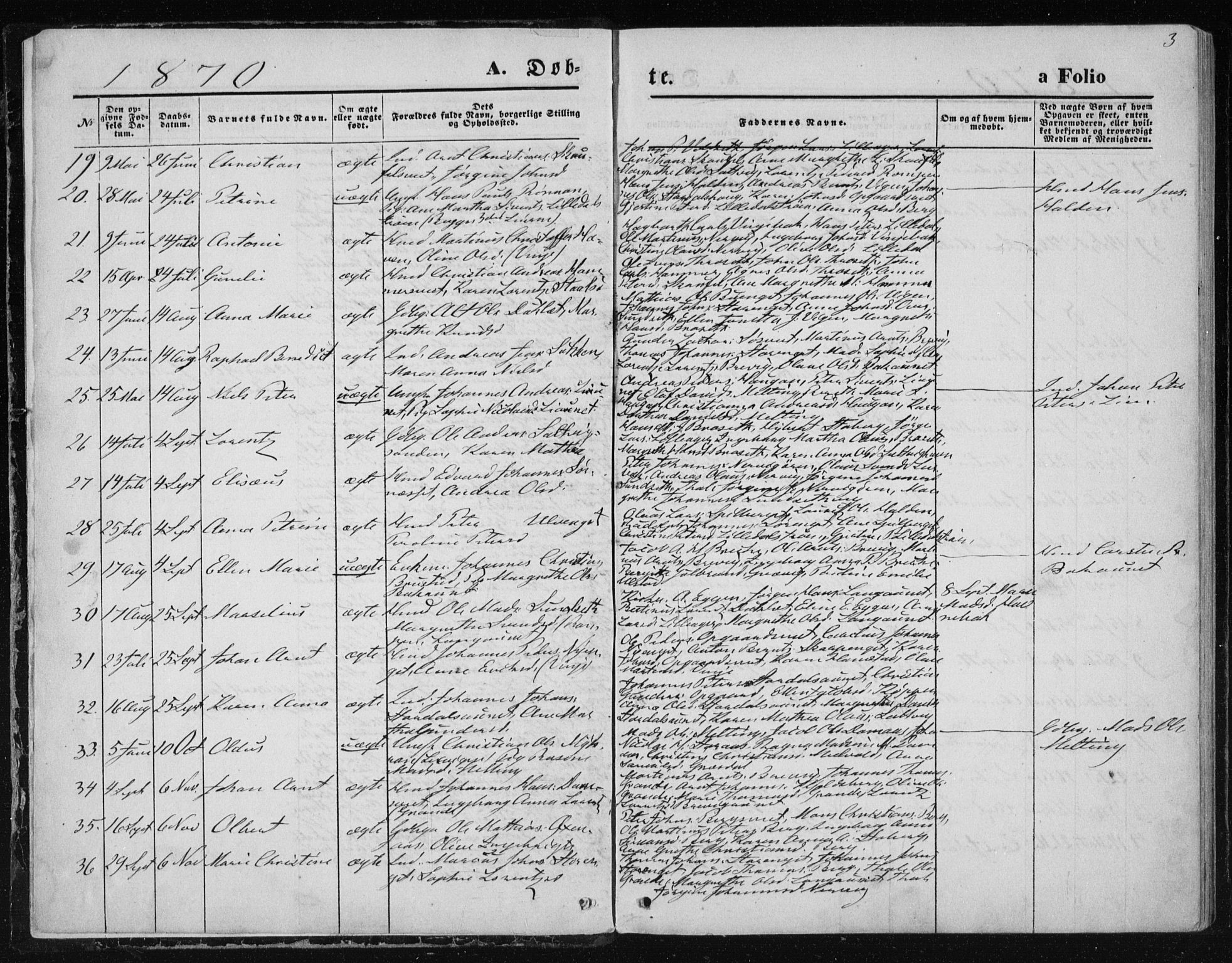 Ministerialprotokoller, klokkerbøker og fødselsregistre - Nord-Trøndelag, SAT/A-1458/733/L0324: Parish register (official) no. 733A03, 1870-1883, p. 3