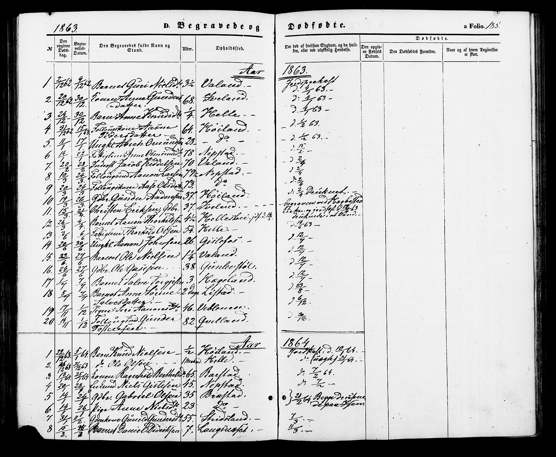 Nord-Audnedal sokneprestkontor, SAK/1111-0032/F/Fa/Faa/L0002: Parish register (official) no. A 2, 1857-1882, p. 185