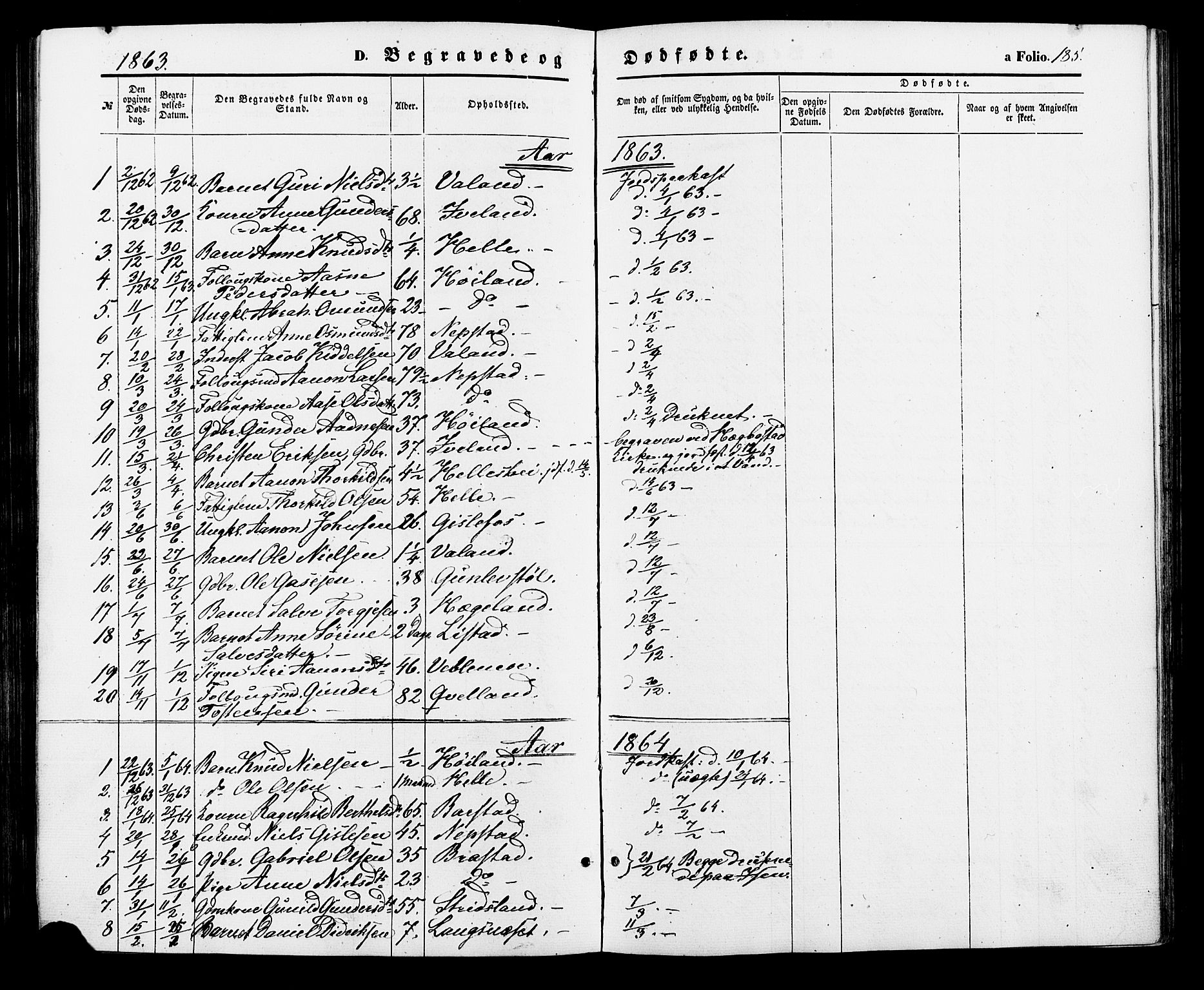 Nord-Audnedal sokneprestkontor, AV/SAK-1111-0032/F/Fa/Faa/L0002: Parish register (official) no. A 2, 1857-1882, p. 185