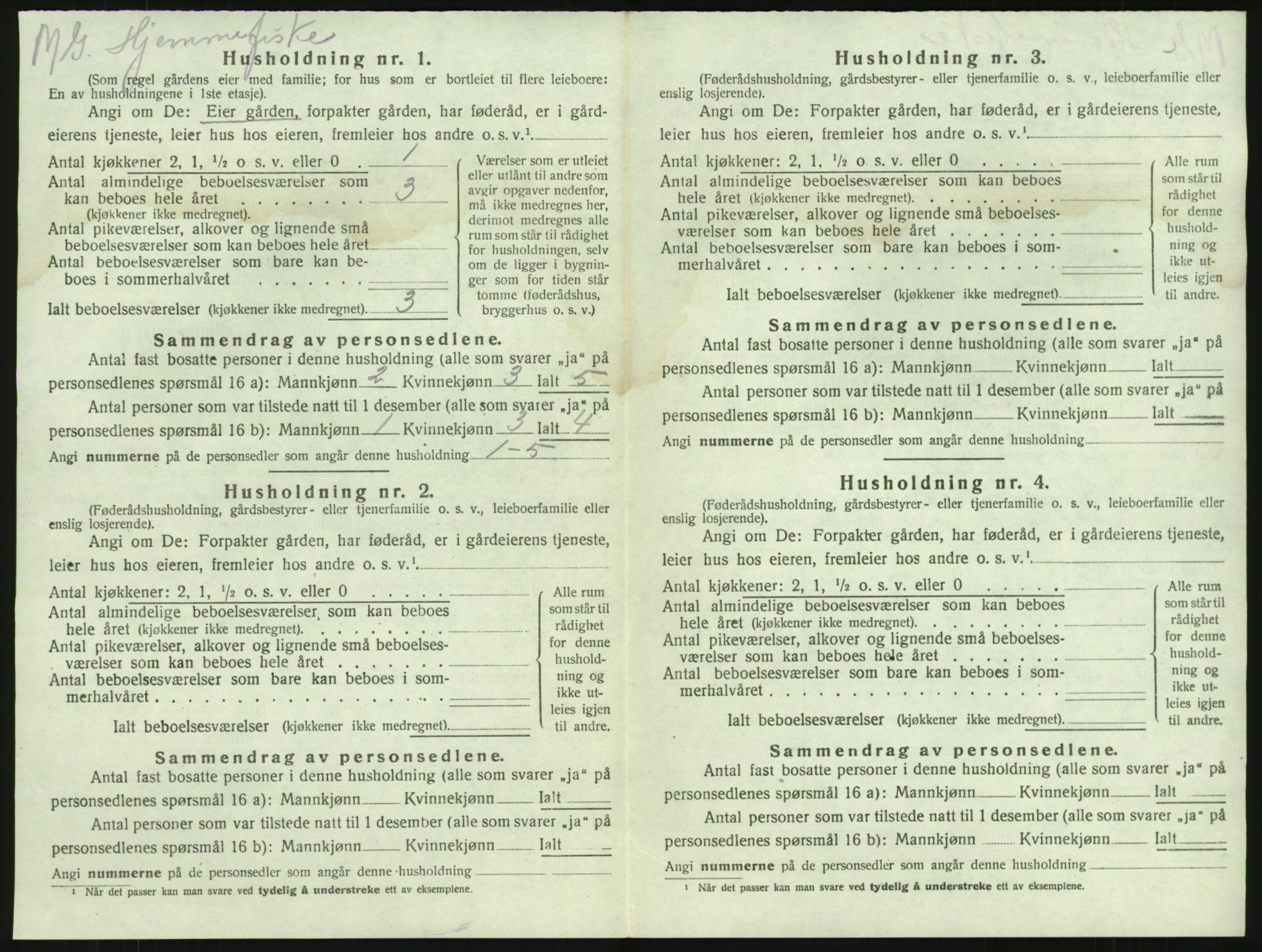 SAKO, 1920 census for Brunlanes, 1920, p. 1488