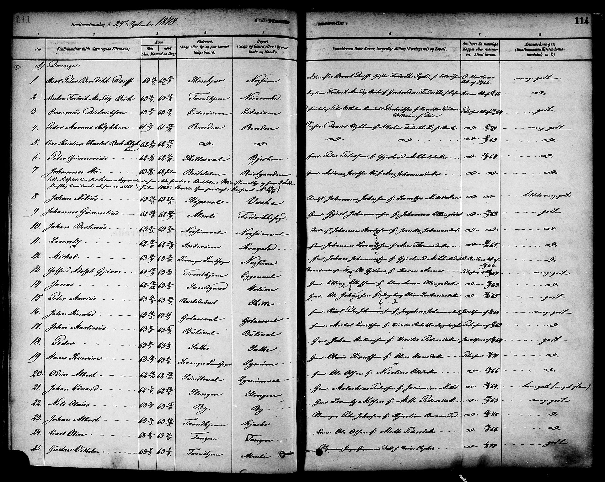 Ministerialprotokoller, klokkerbøker og fødselsregistre - Nord-Trøndelag, AV/SAT-A-1458/717/L0159: Parish register (official) no. 717A09, 1878-1898, p. 114