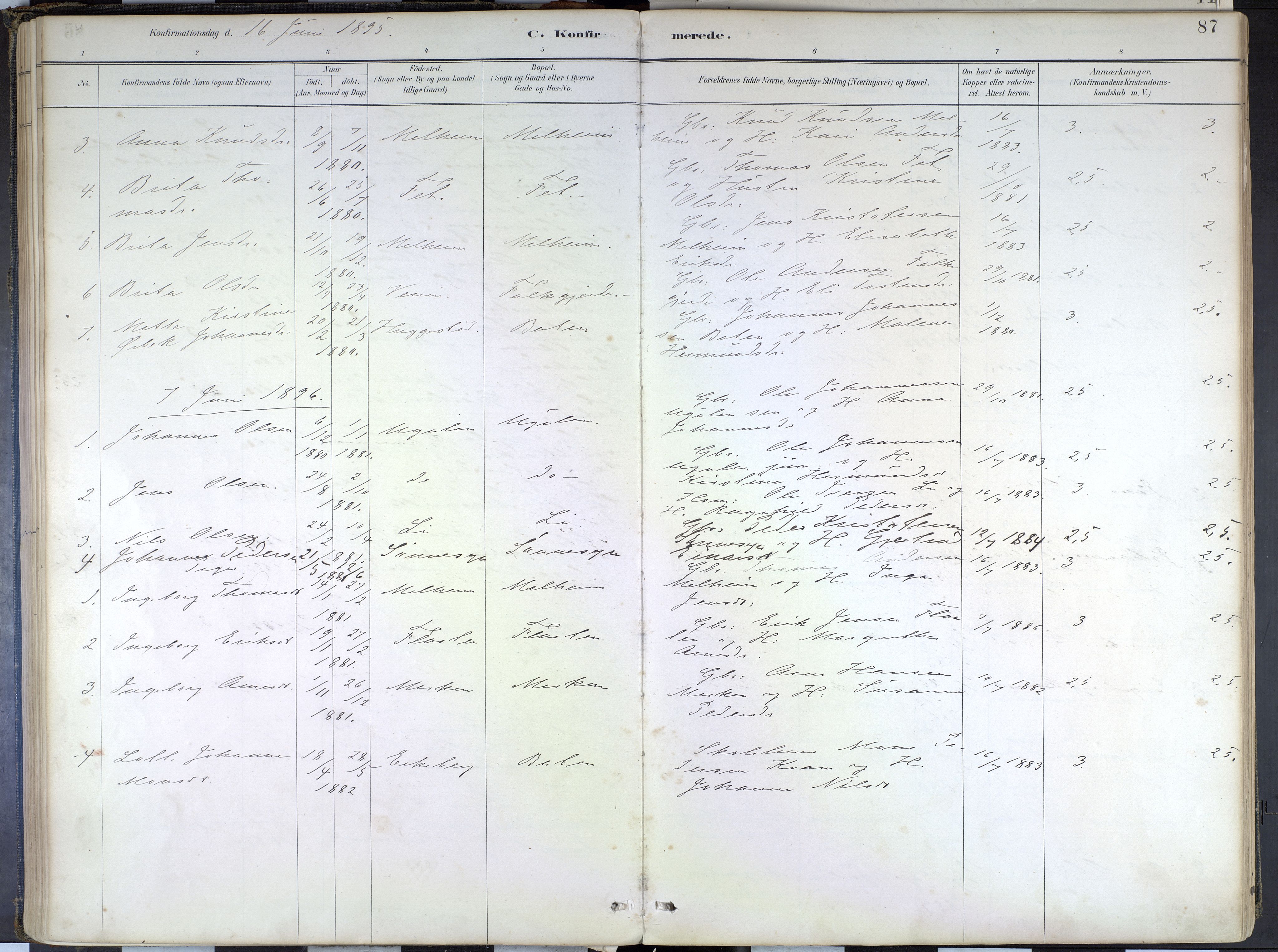 Hafslo sokneprestembete, SAB/A-80301/H/Haa/Haad/L0001: Parish register (official) no. D 1, 1886-1934, p. 87