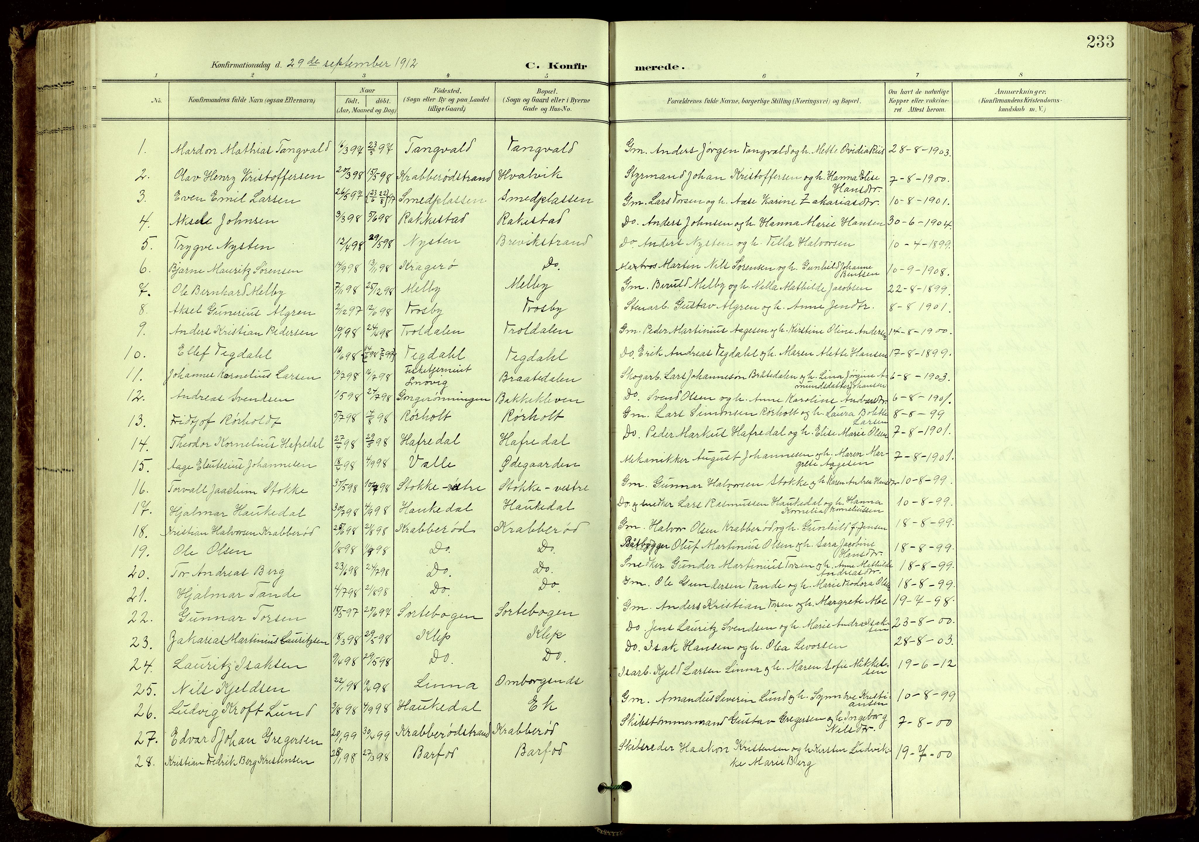 Bamble kirkebøker, SAKO/A-253/G/Ga/L0010: Parish register (copy) no. I 10, 1901-1919, p. 233
