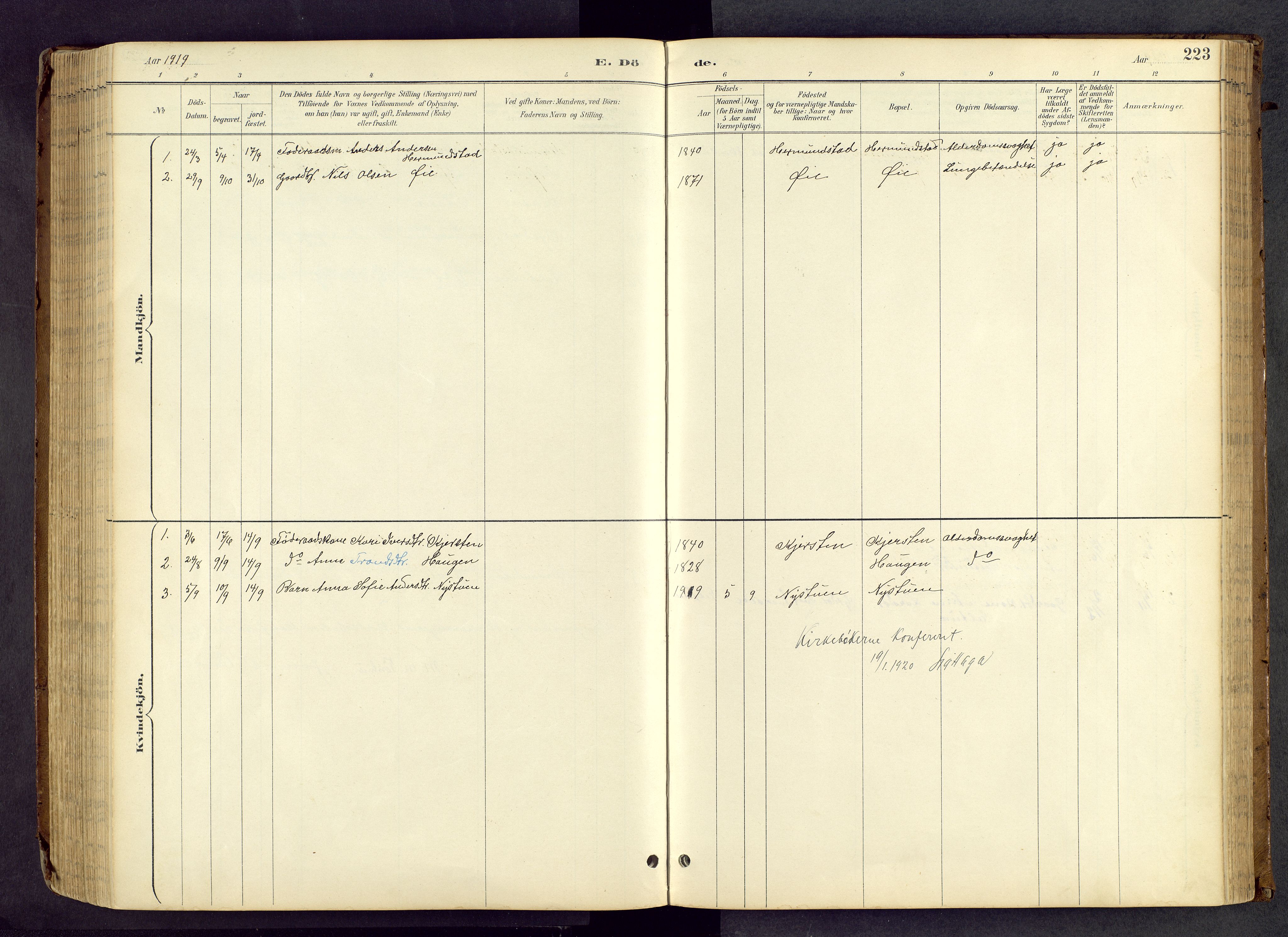 Vang prestekontor, Valdres, SAH/PREST-140/H/Hb/L0005: Parish register (copy) no. 5, 1889-1945, p. 223