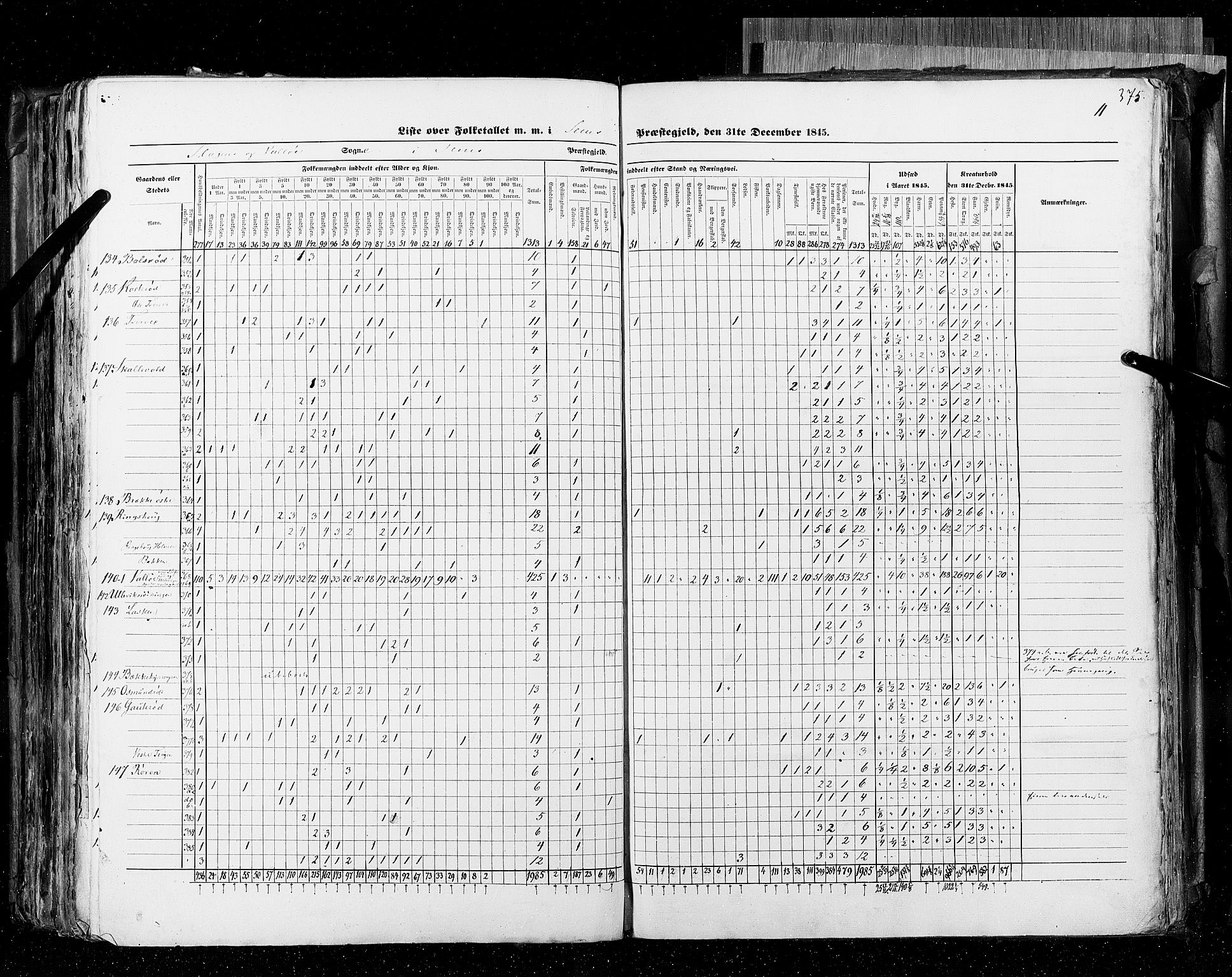 RA, Census 1845, vol. 4: Buskerud amt og Jarlsberg og Larvik amt, 1845, p. 375