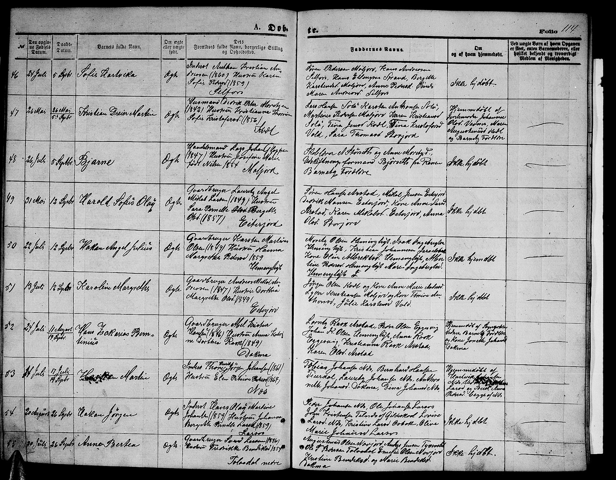 Ministerialprotokoller, klokkerbøker og fødselsregistre - Nordland, AV/SAT-A-1459/846/L0653: Parish register (copy) no. 846C03, 1872-1887, p. 114