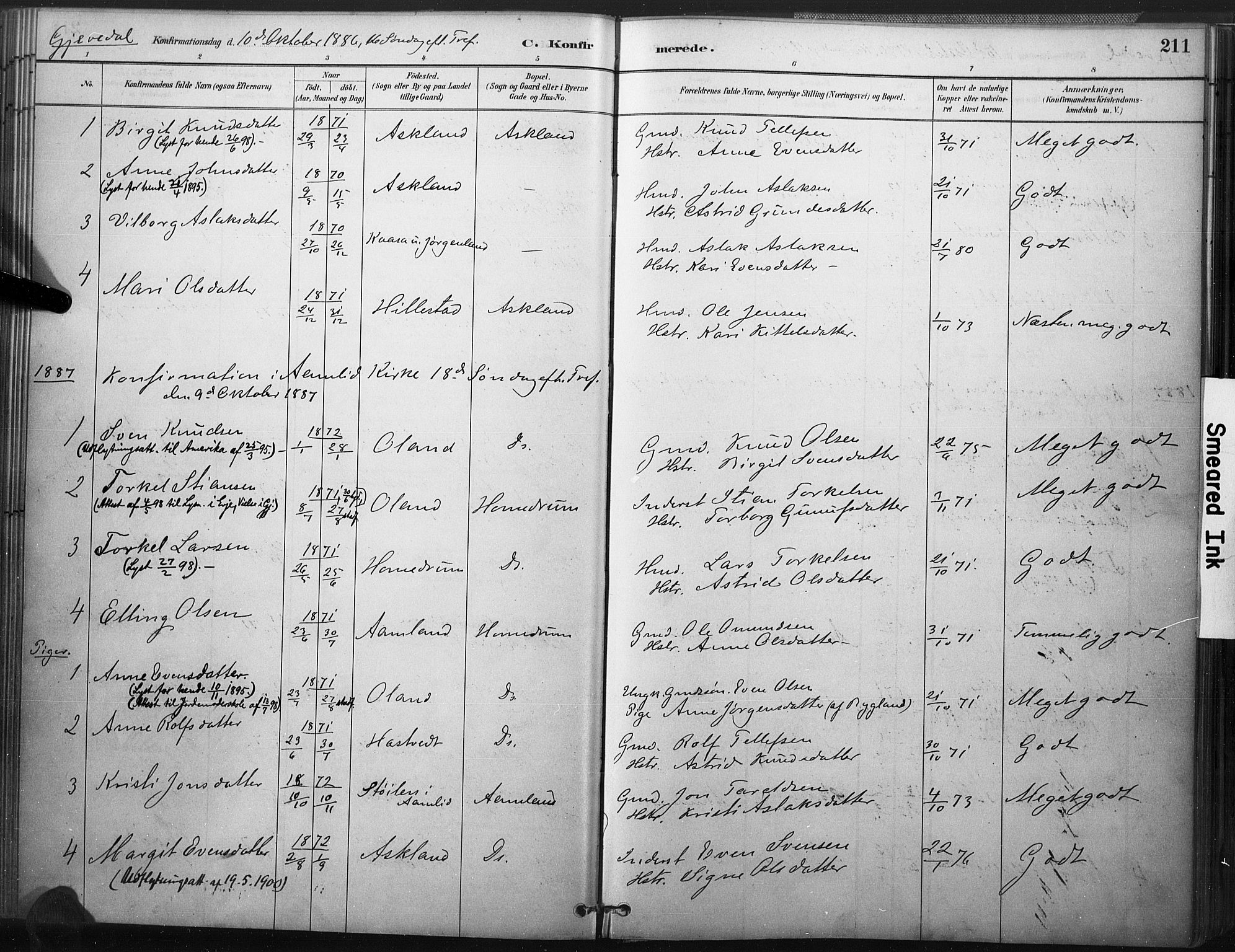 Åmli sokneprestkontor, SAK/1111-0050/F/Fa/Fac/L0010: Parish register (official) no. A 10 /2, 1885-1899, p. 211