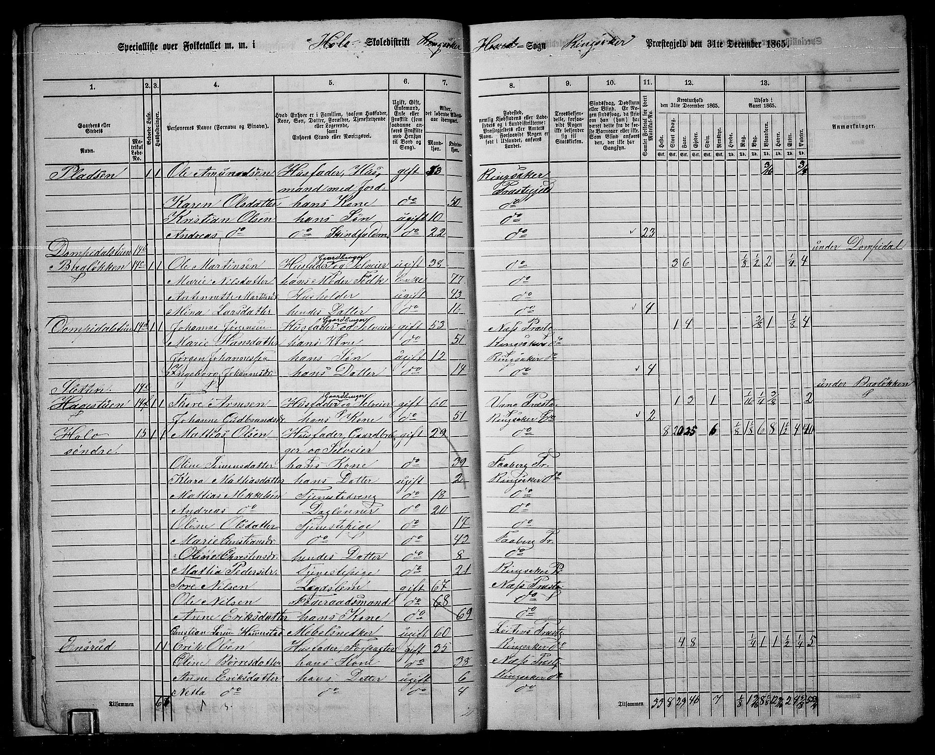 RA, 1865 census for Ringsaker, 1865, p. 36