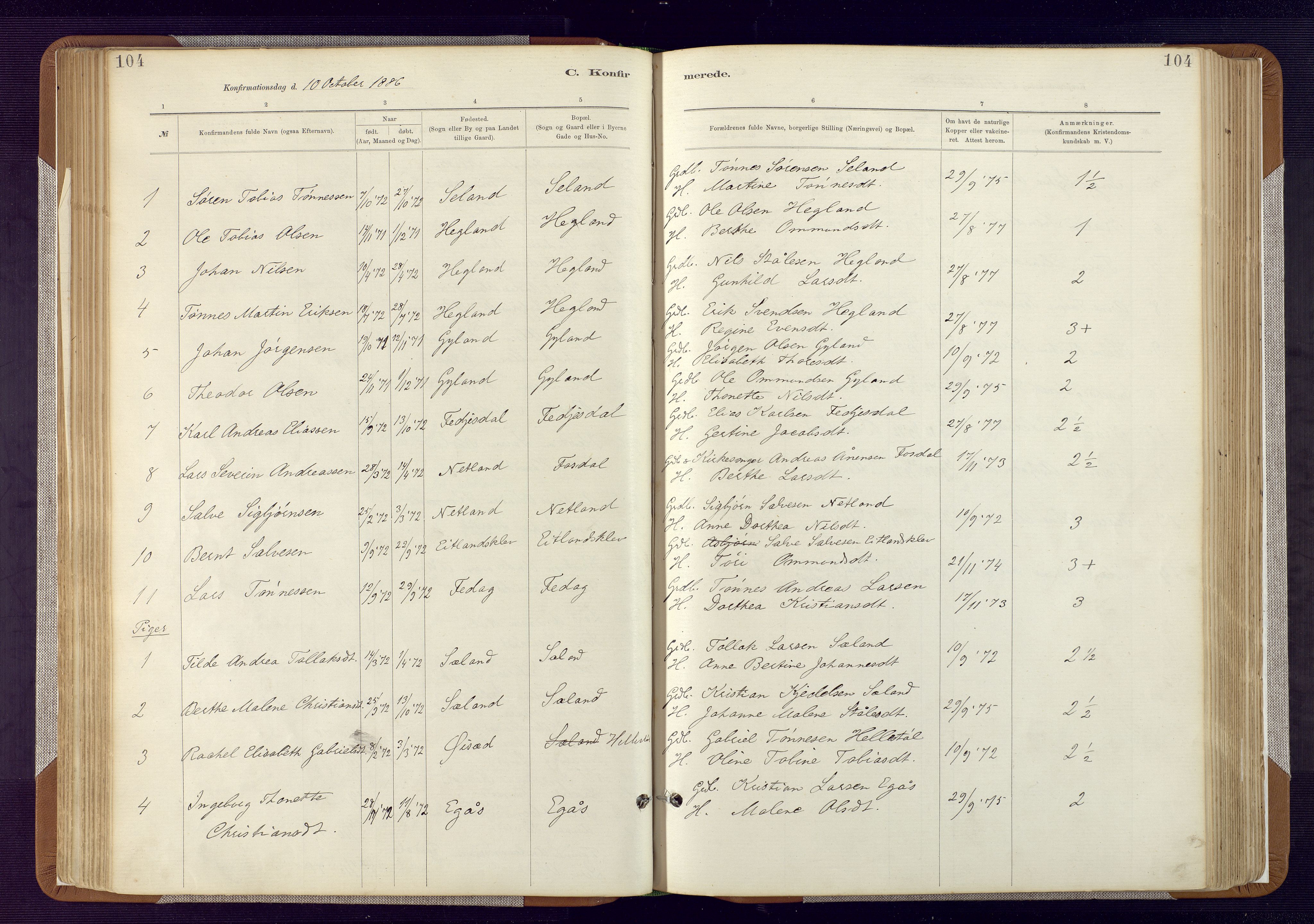 Bakke sokneprestkontor, SAK/1111-0002/F/Fa/Fab/L0003: Parish register (official) no. A 3, 1884-1921, p. 104