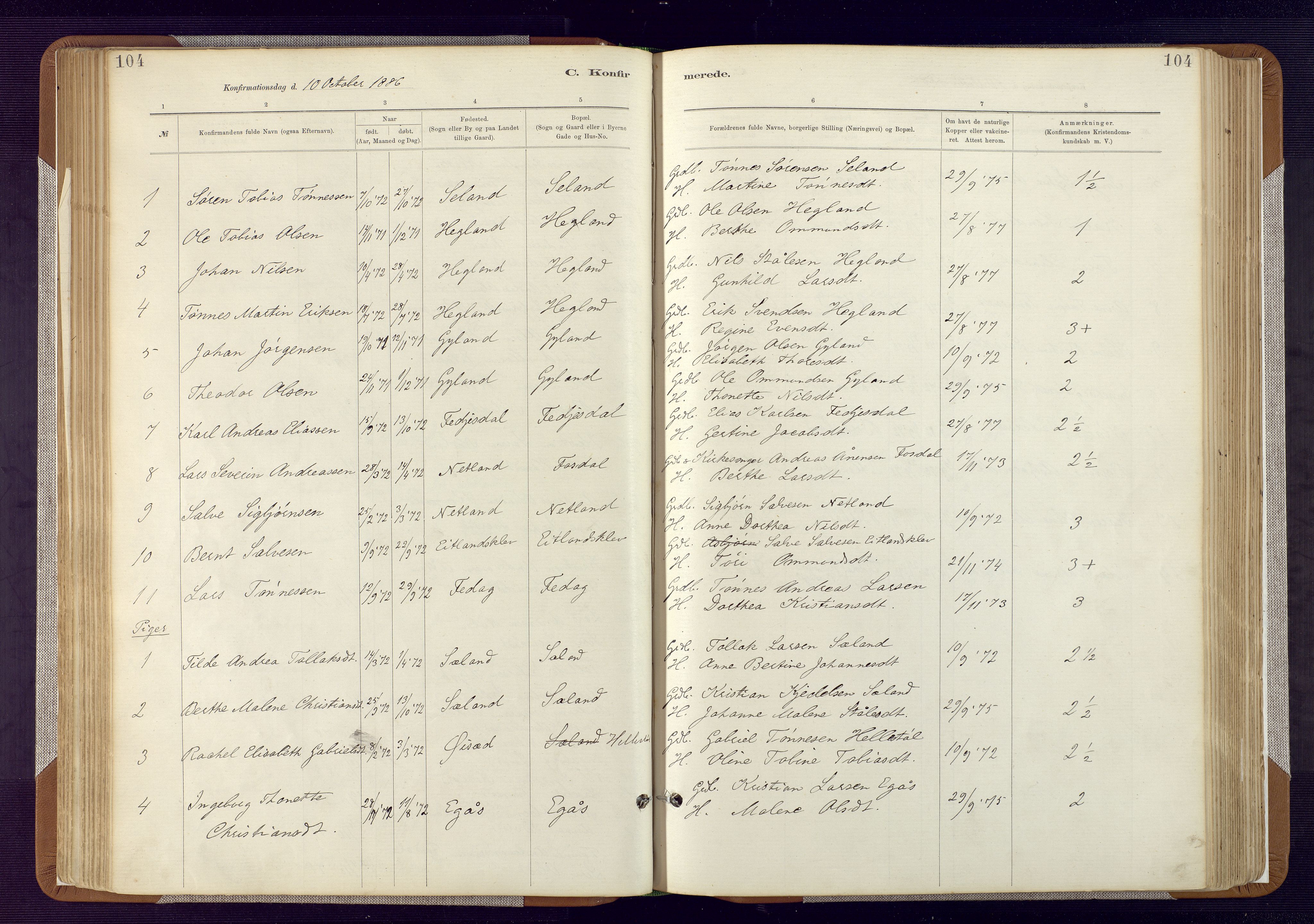 Bakke sokneprestkontor, AV/SAK-1111-0002/F/Fa/Fab/L0003: Parish register (official) no. A 3, 1884-1921, p. 104