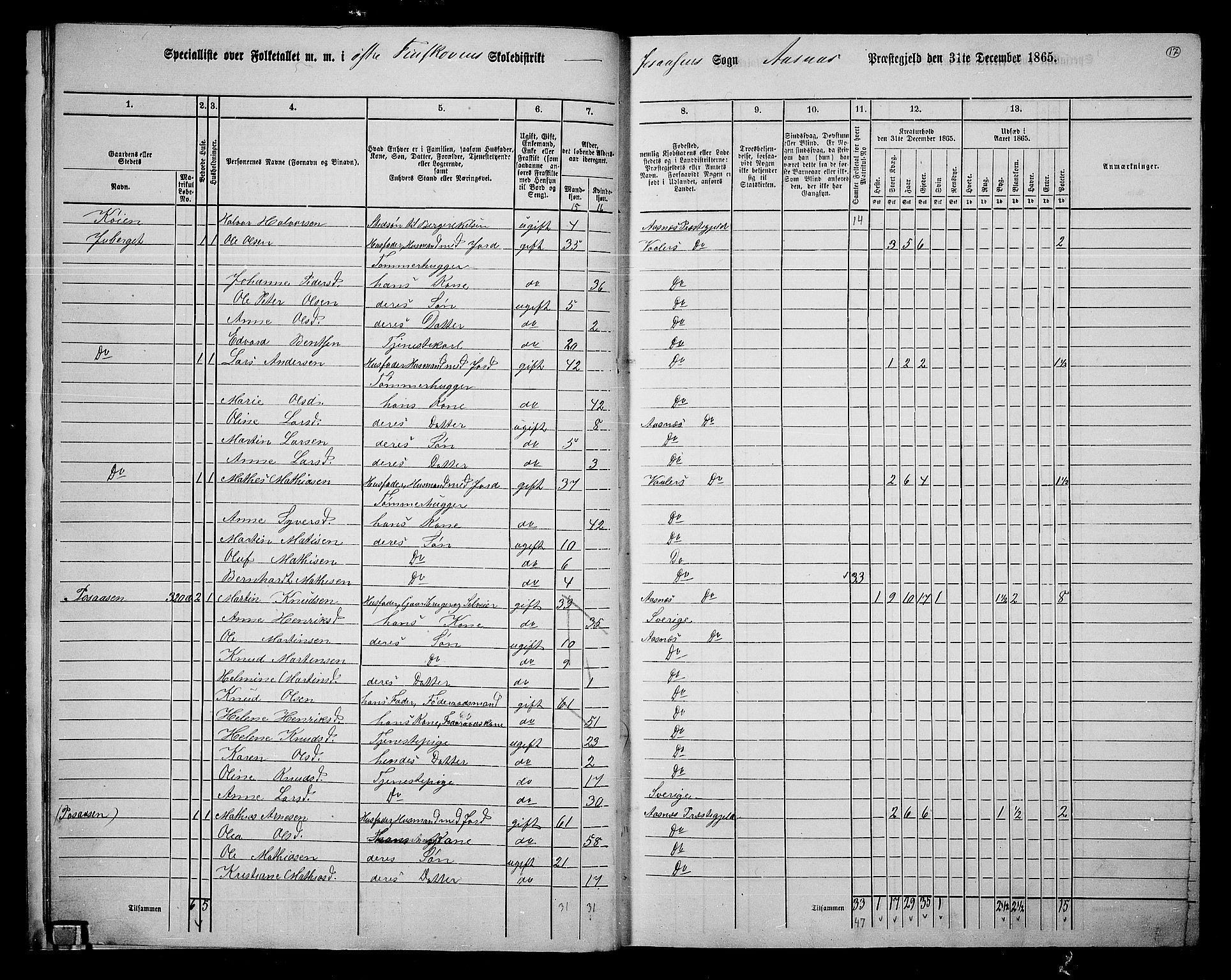 RA, 1865 census for Åsnes, 1865, p. 14