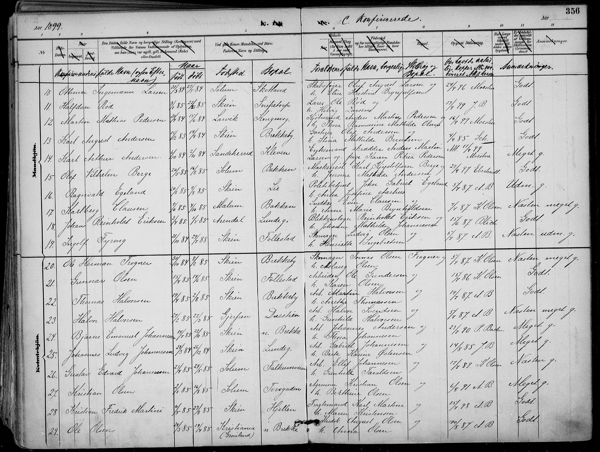 Skien kirkebøker, AV/SAKO-A-302/F/Fa/L0010: Parish register (official) no. 10, 1891-1899, p. 356