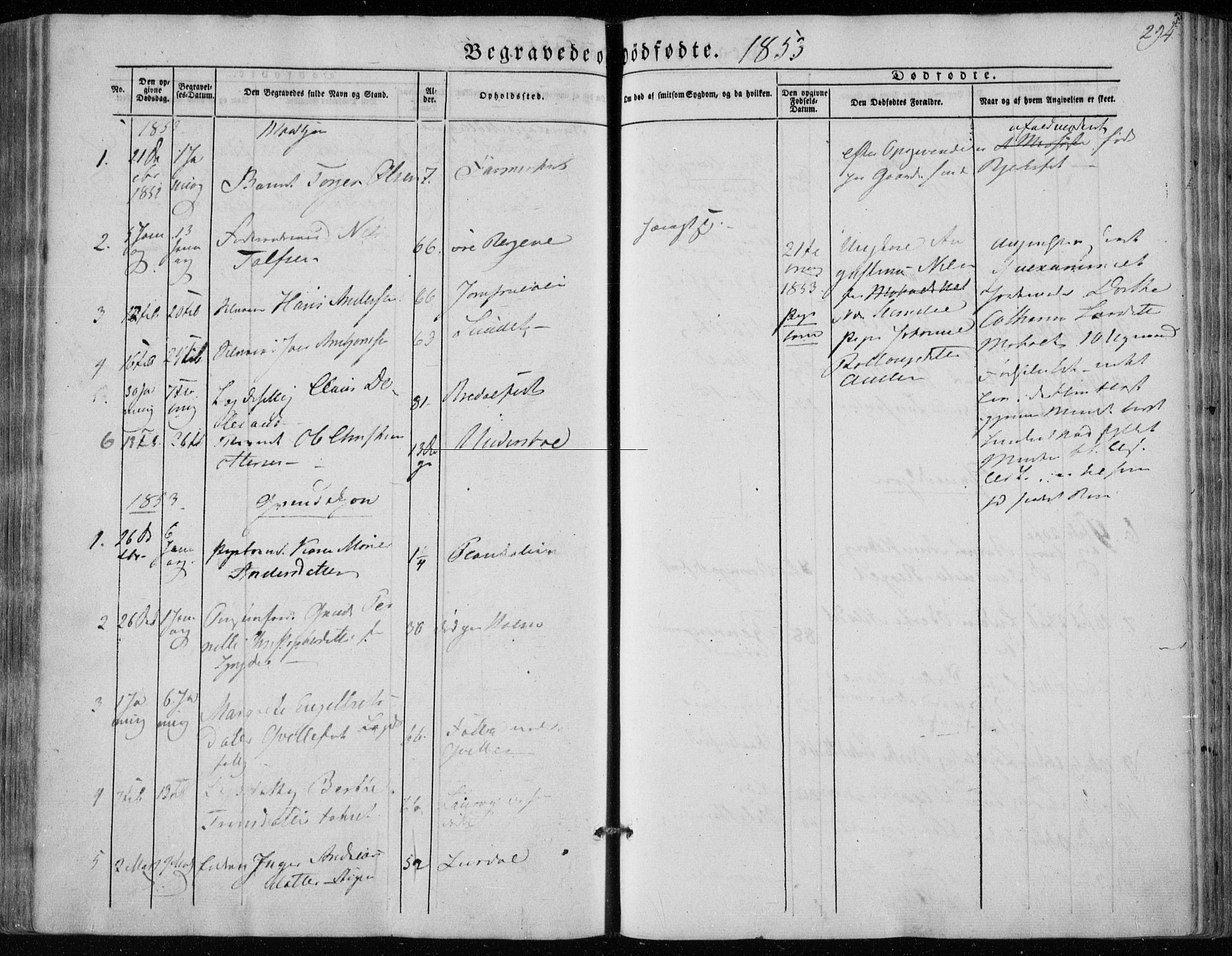 Hedrum kirkebøker, SAKO/A-344/F/Fa/L0006: Parish register (official) no. I 6, 1849-1857, p. 294