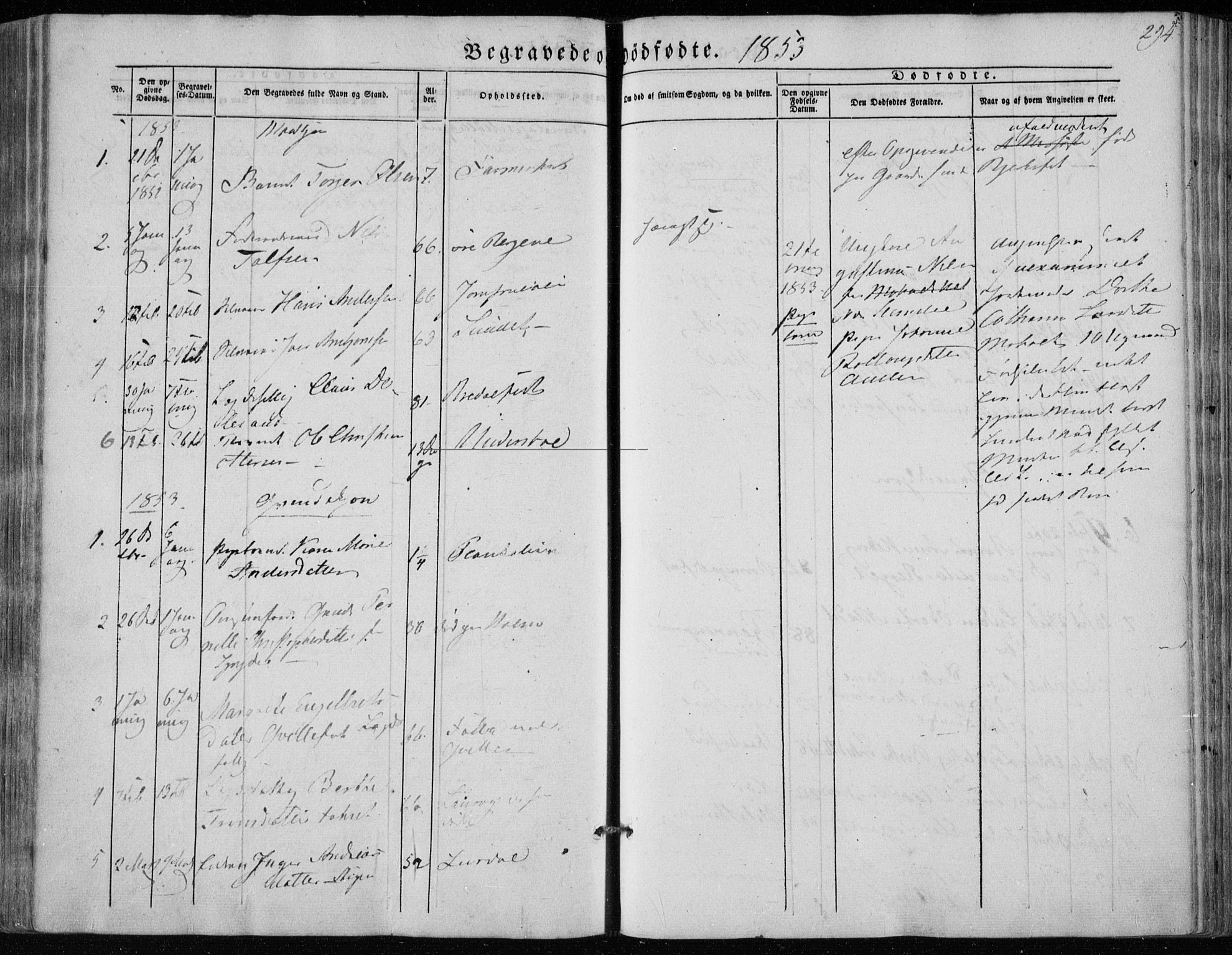 Hedrum kirkebøker, AV/SAKO-A-344/F/Fa/L0006: Parish register (official) no. I 6, 1849-1857, p. 294