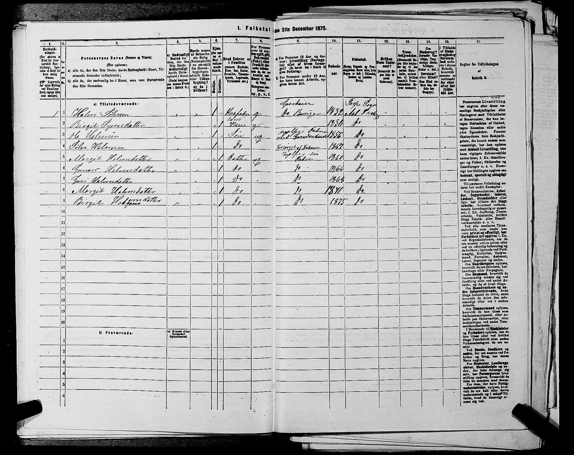 SAKO, 1875 census for 0619P Ål, 1875, p. 306