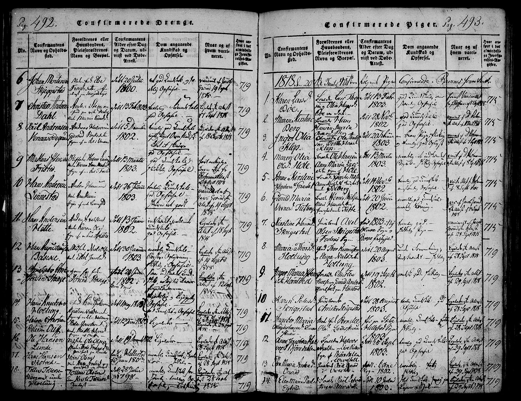 Ramnes kirkebøker, AV/SAKO-A-314/F/Fa/L0004: Parish register (official) no. I 4, 1813-1840, p. 492-493