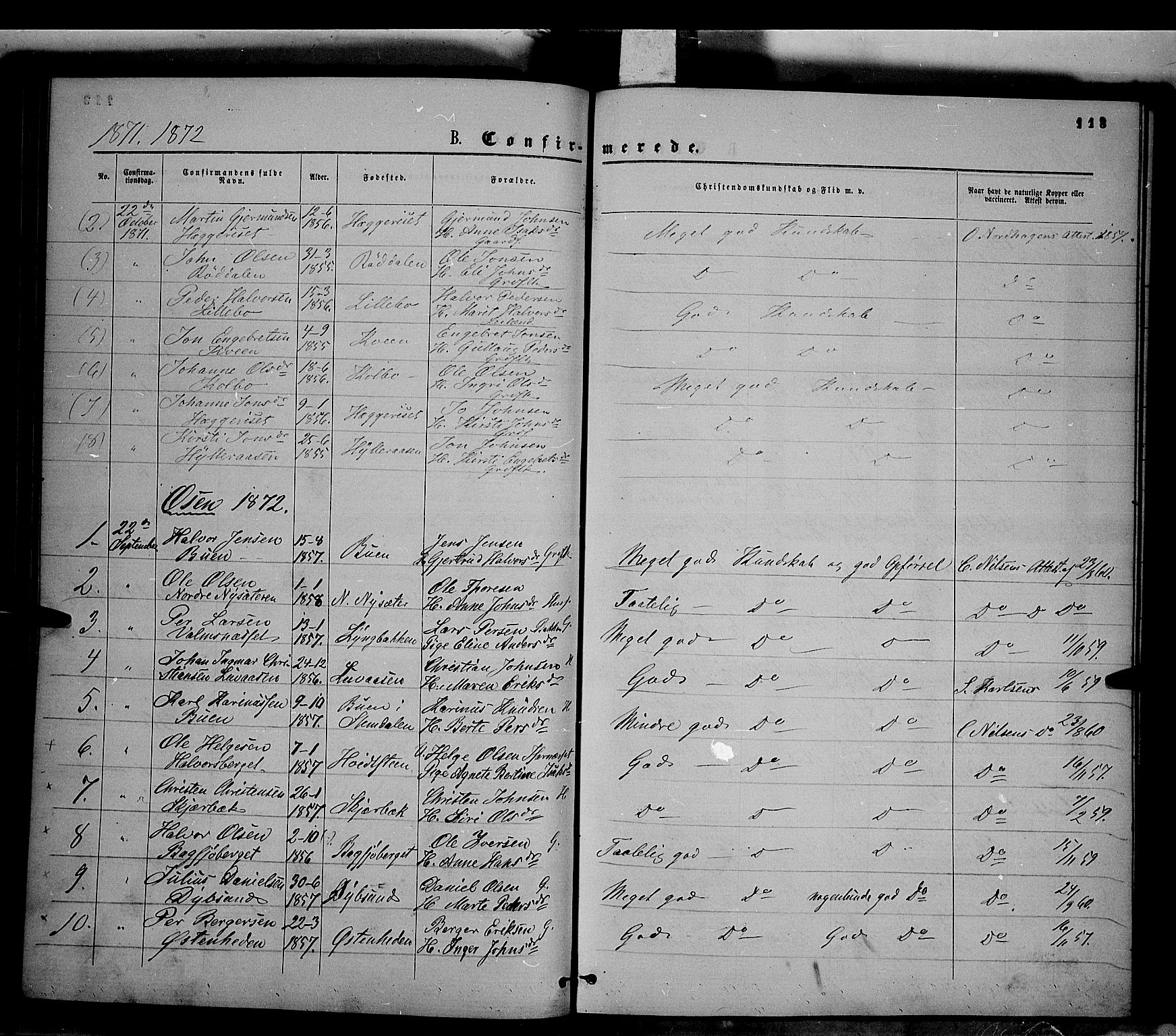 Trysil prestekontor, SAH/PREST-046/H/Ha/Haa/L0006: Parish register (official) no. 6, 1866-1873, p. 113