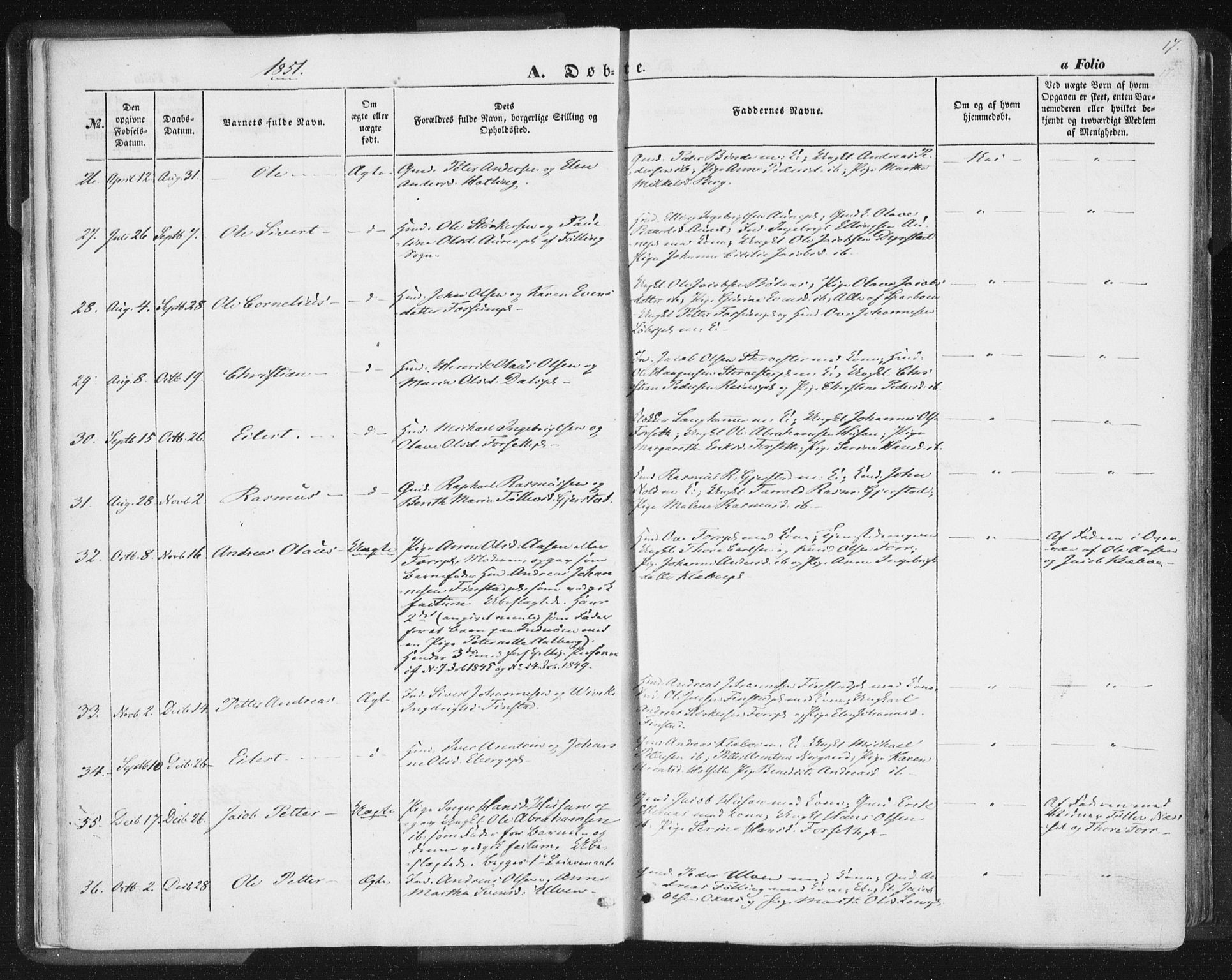 Ministerialprotokoller, klokkerbøker og fødselsregistre - Nord-Trøndelag, SAT/A-1458/746/L0446: Parish register (official) no. 746A05, 1846-1859, p. 17