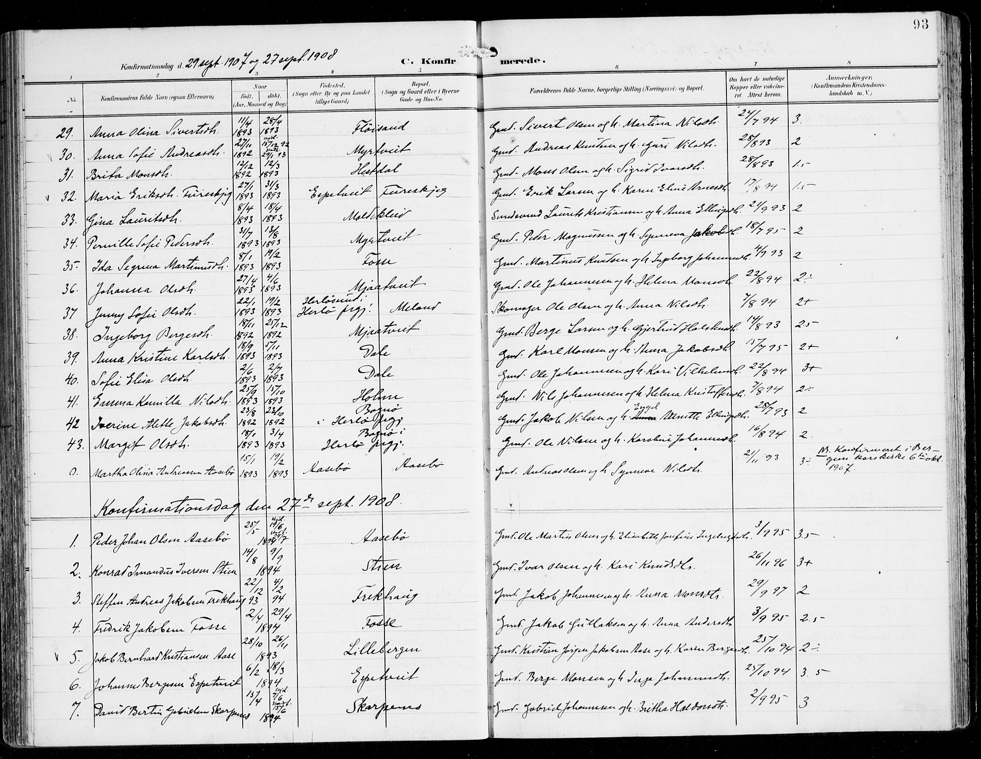 Alversund Sokneprestembete, AV/SAB-A-73901/H/Ha/Haa/Haac/L0002: Parish register (official) no. C 2, 1901-1921, p. 93