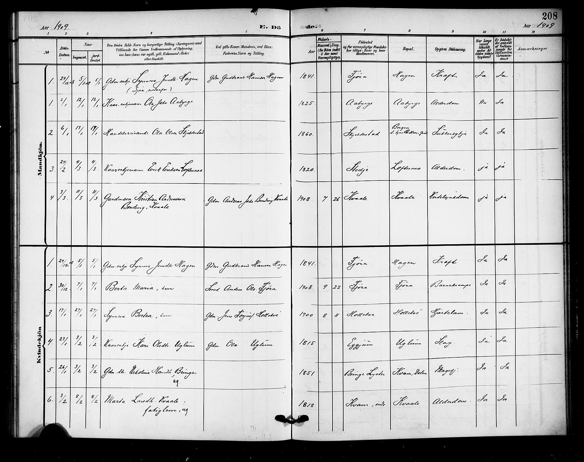 Sogndal sokneprestembete, SAB/A-81301/H/Hab/Haba/L0002: Parish register (copy) no. A 2, 1908-1924, p. 208